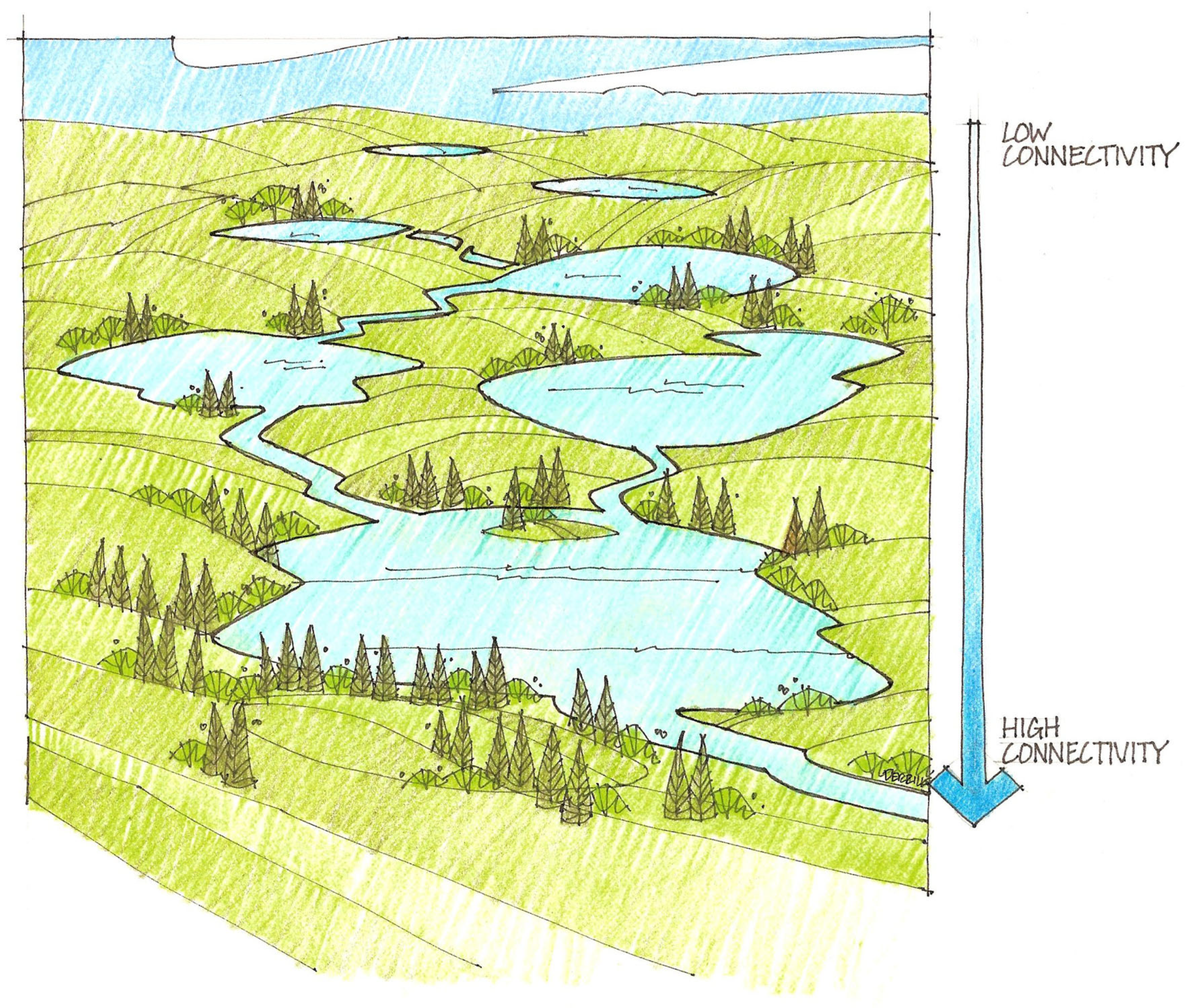 Minerals 15 00752 g011