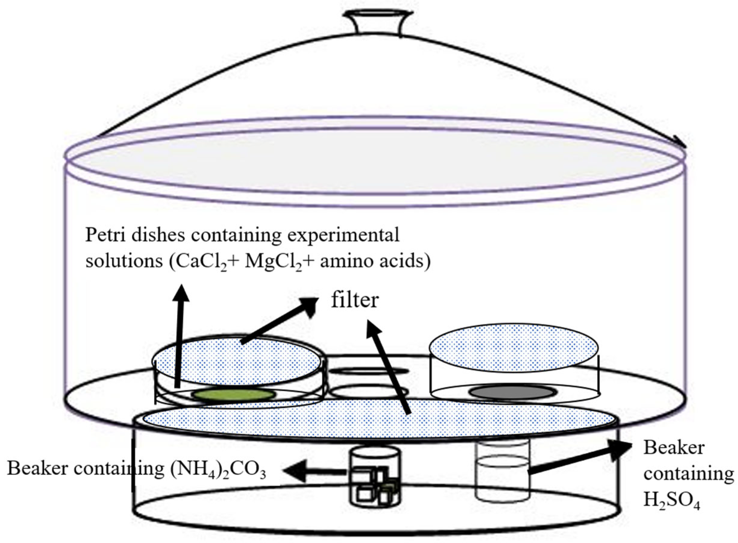 Minerals 15 00763 g001