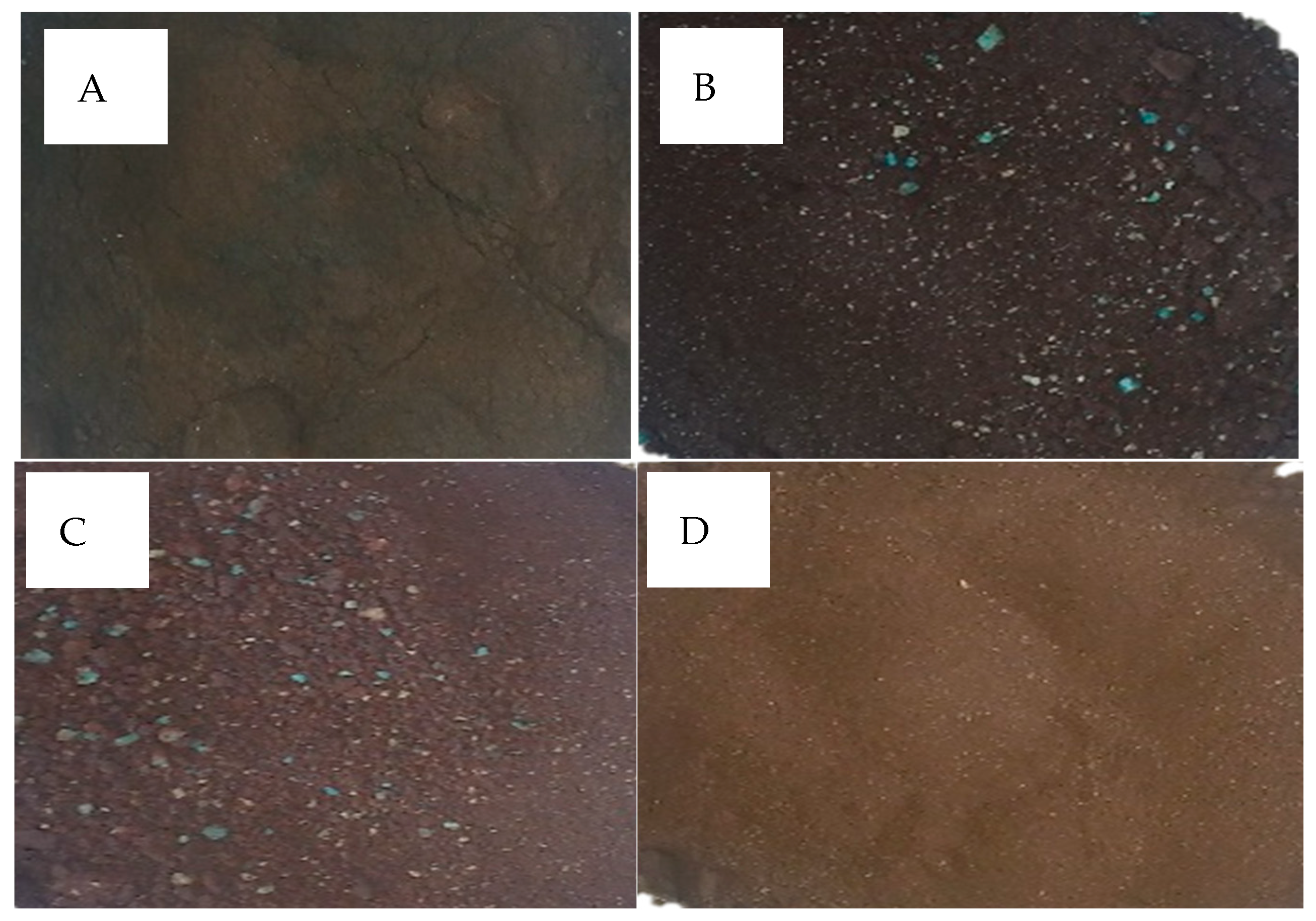 Minerals 15 00771 g004