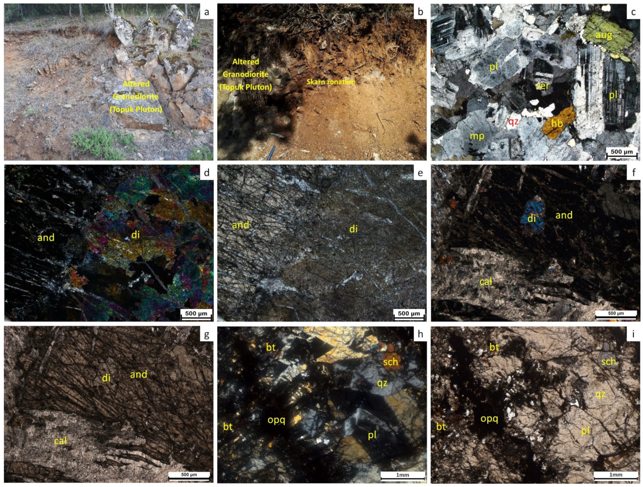 Minerals 15 00792 g005