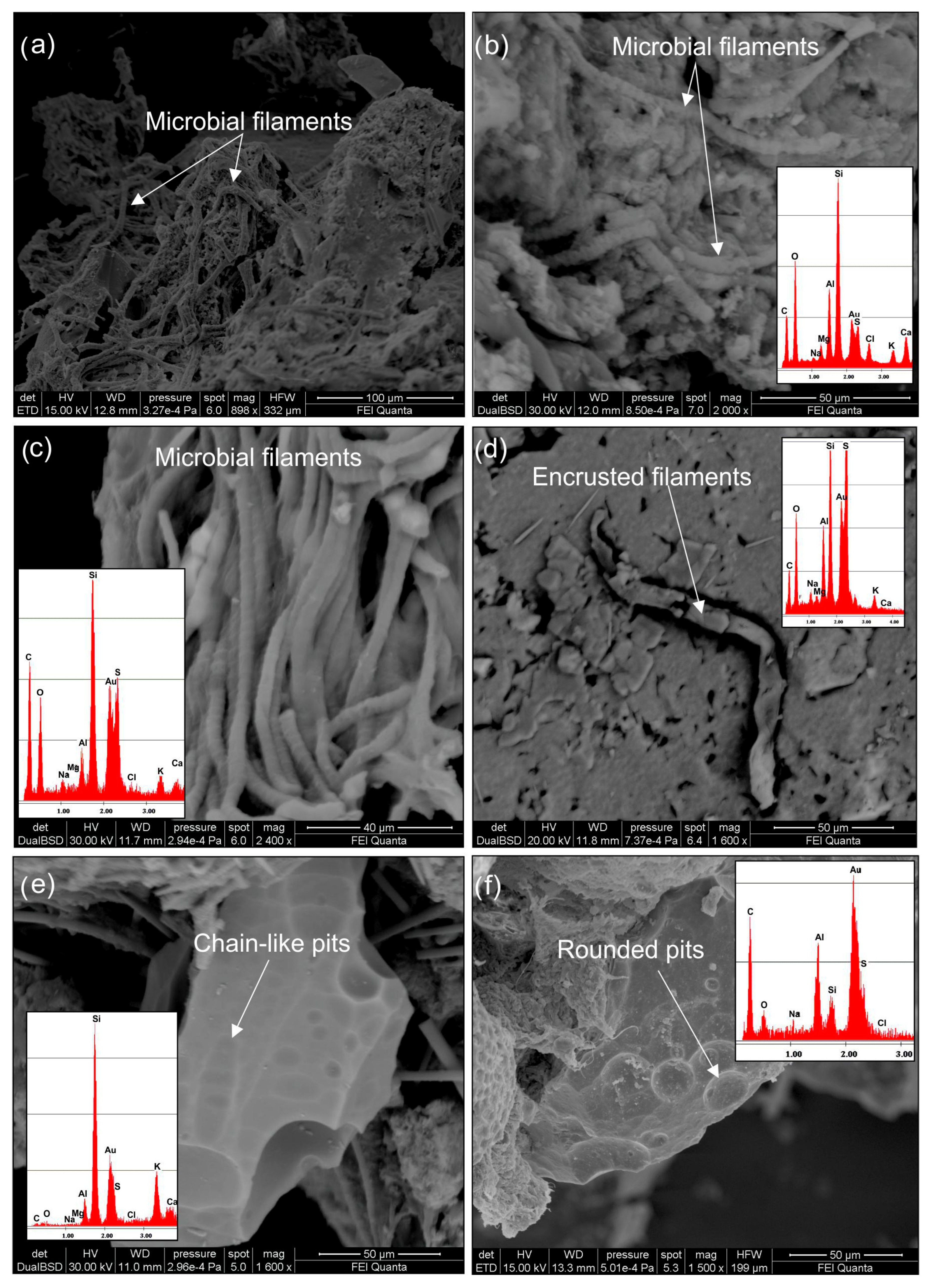 Minerals 15 00794 g004