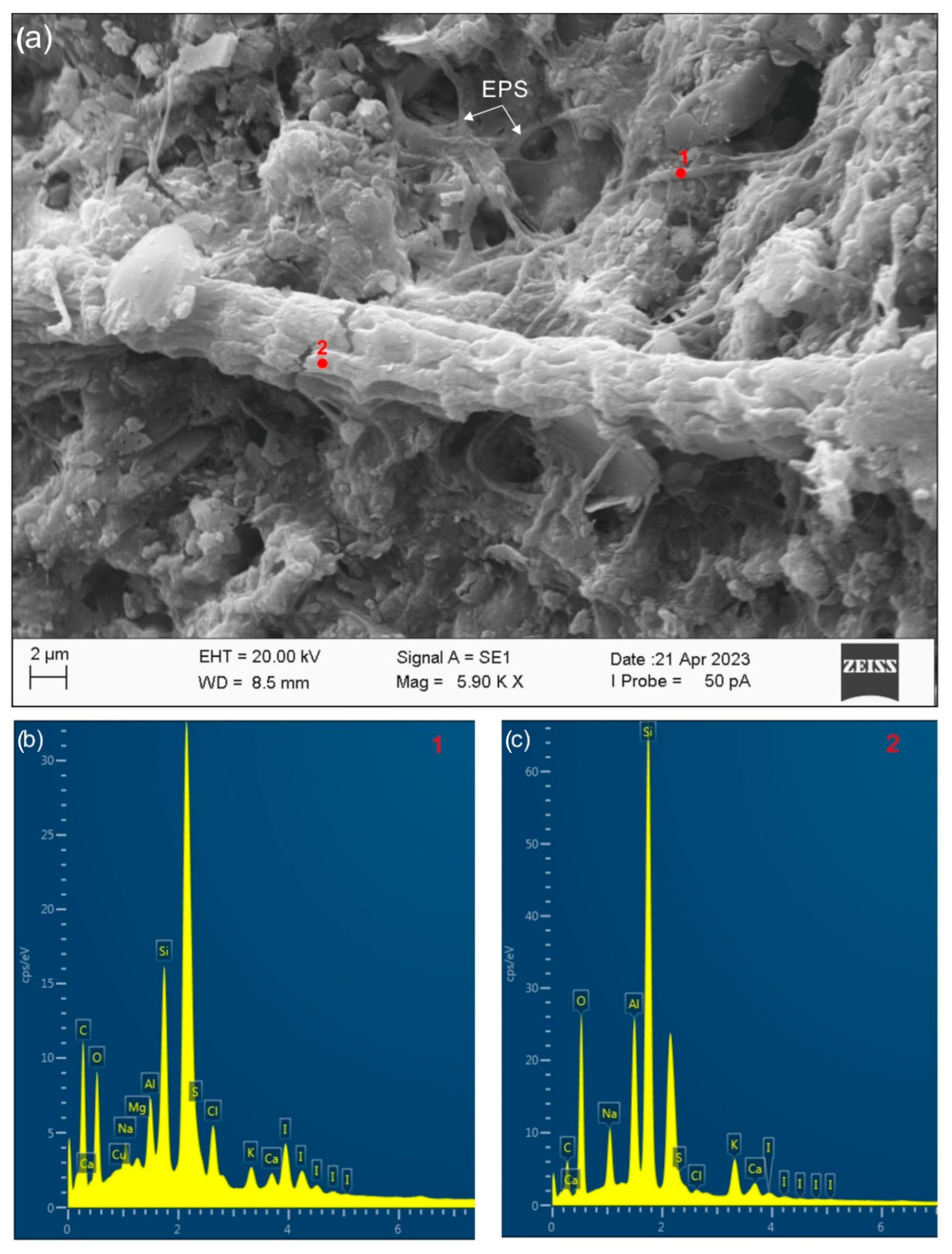 Minerals 15 00794 g006