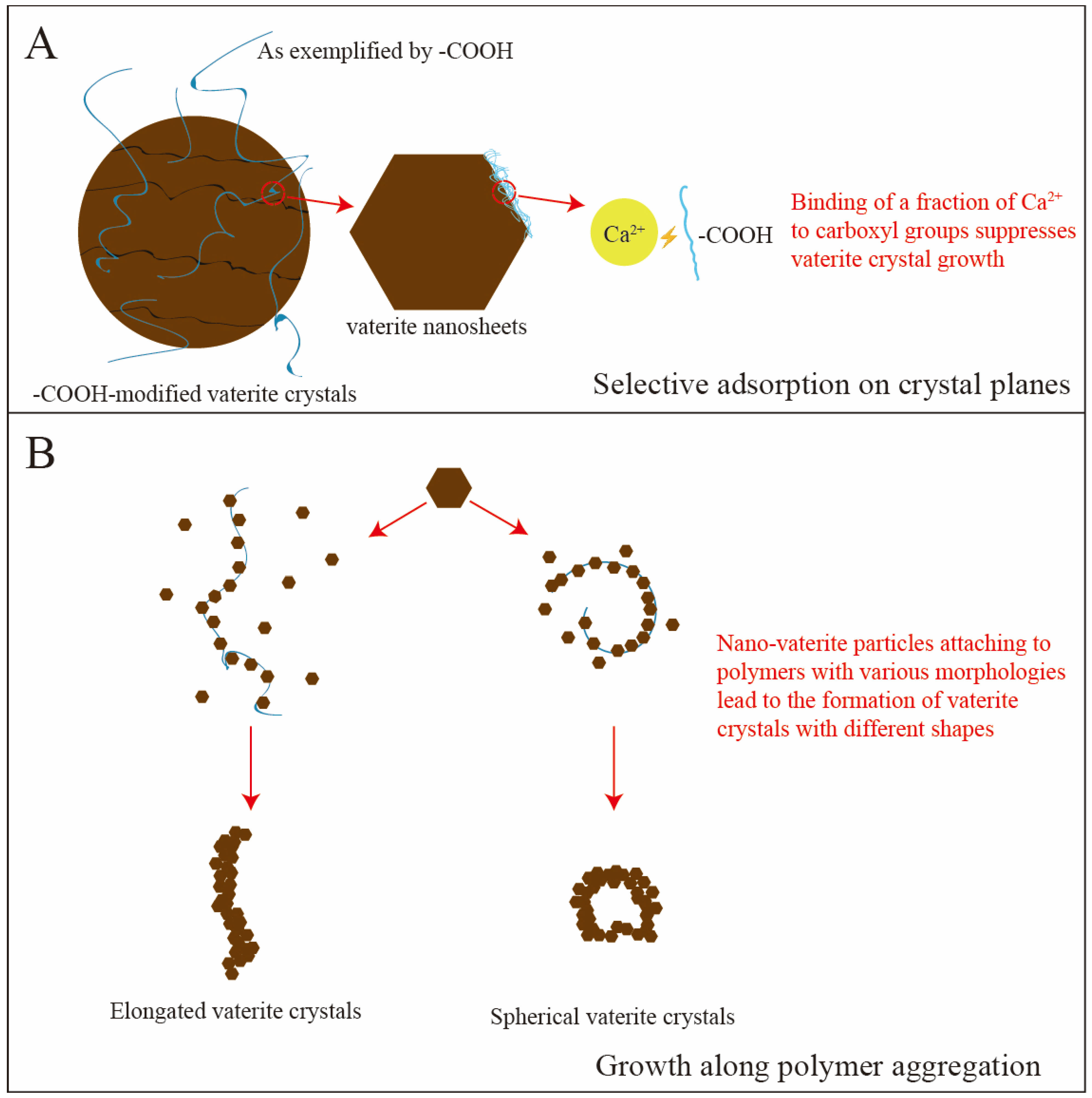 Minerals 15 00796 g003