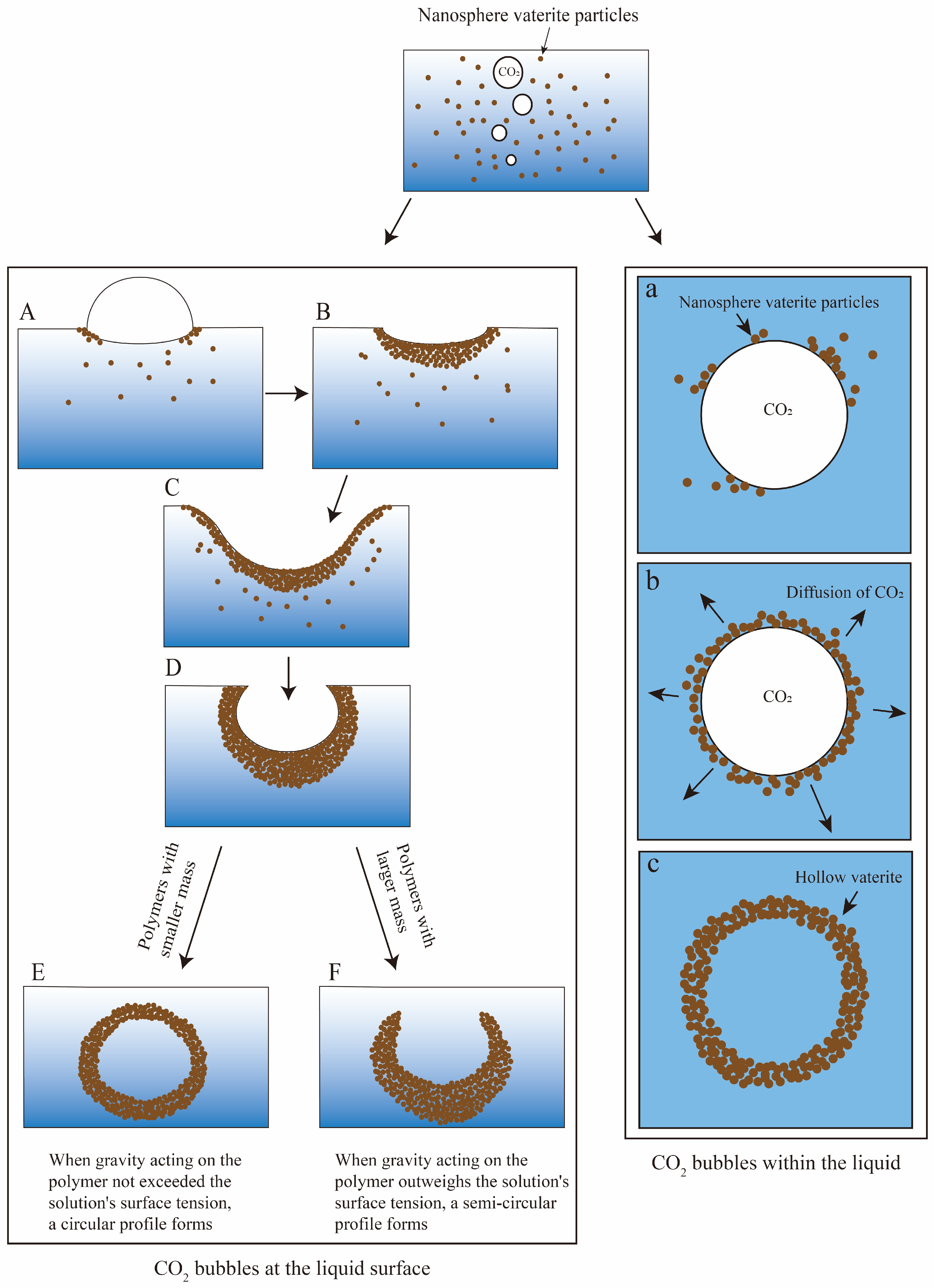 Minerals 15 00796 g005