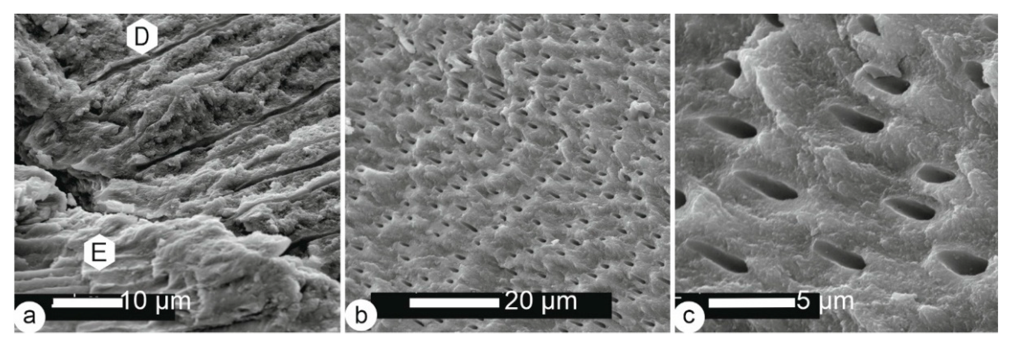 Minerals 15 00807 g004