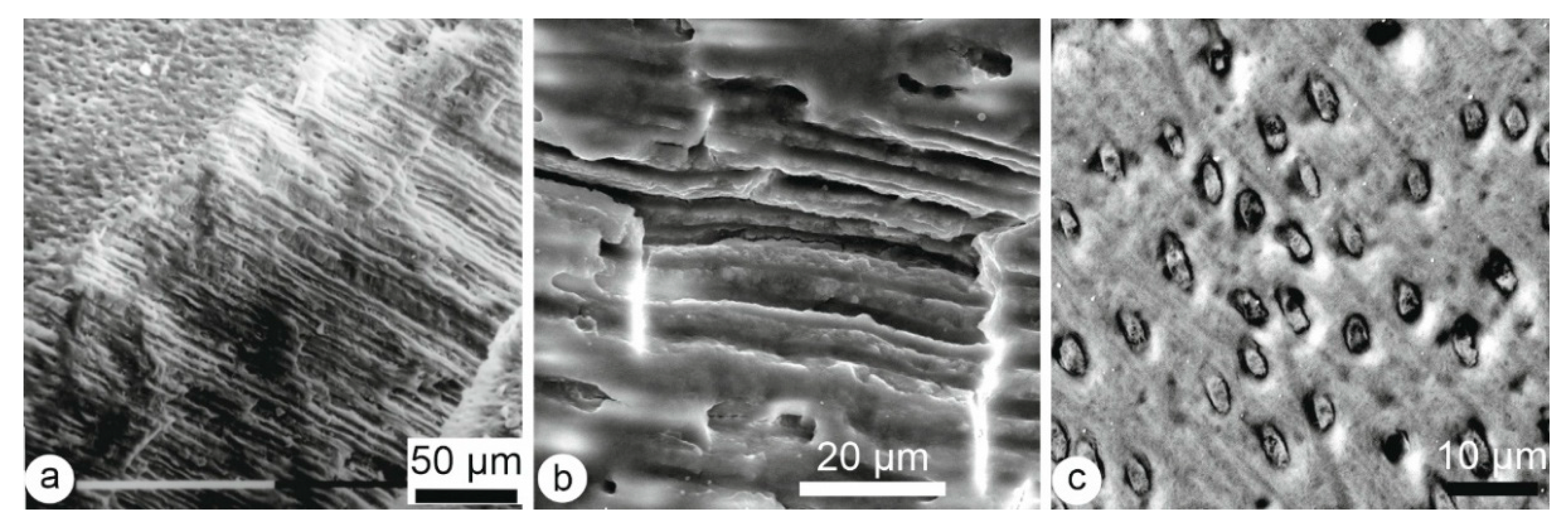 Minerals 15 00807 g005