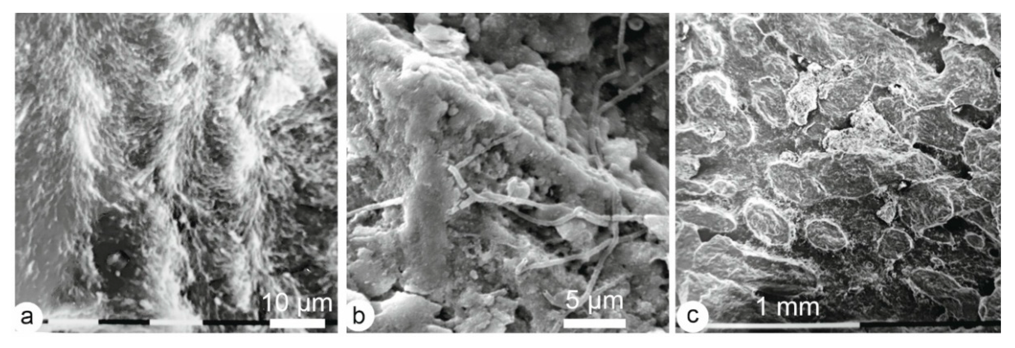 Minerals 15 00807 g007