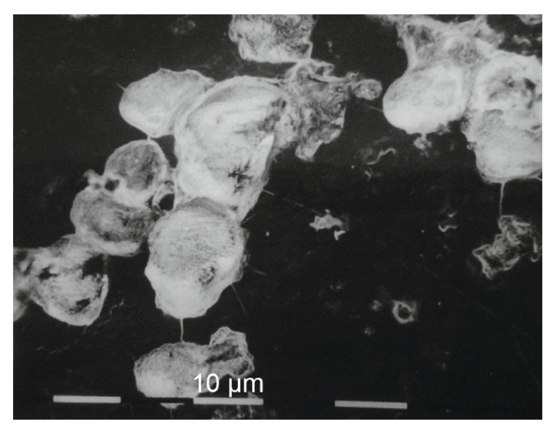 Minerals 15 00807 g008