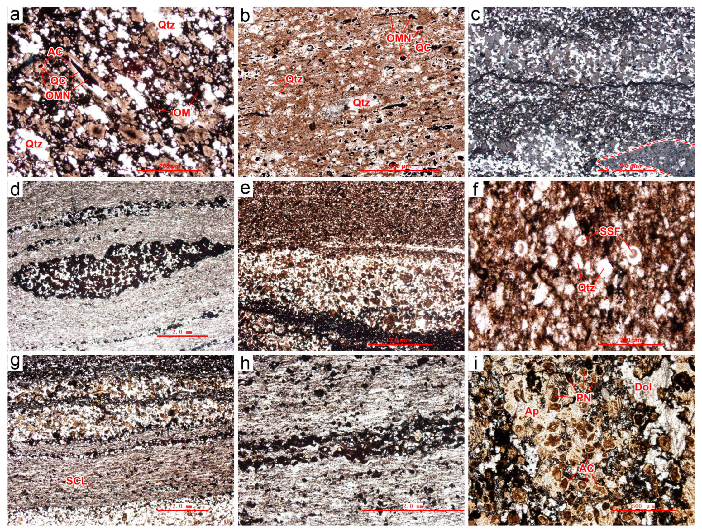 Minerals 15 00812 g008