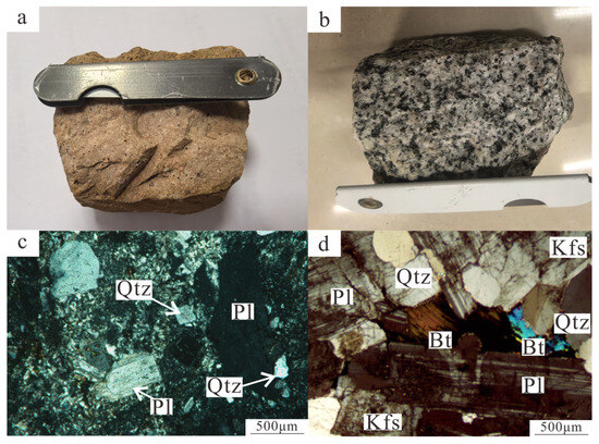 【mi】 Sciency Thoughts: Investigating the nature of Extreme Trans