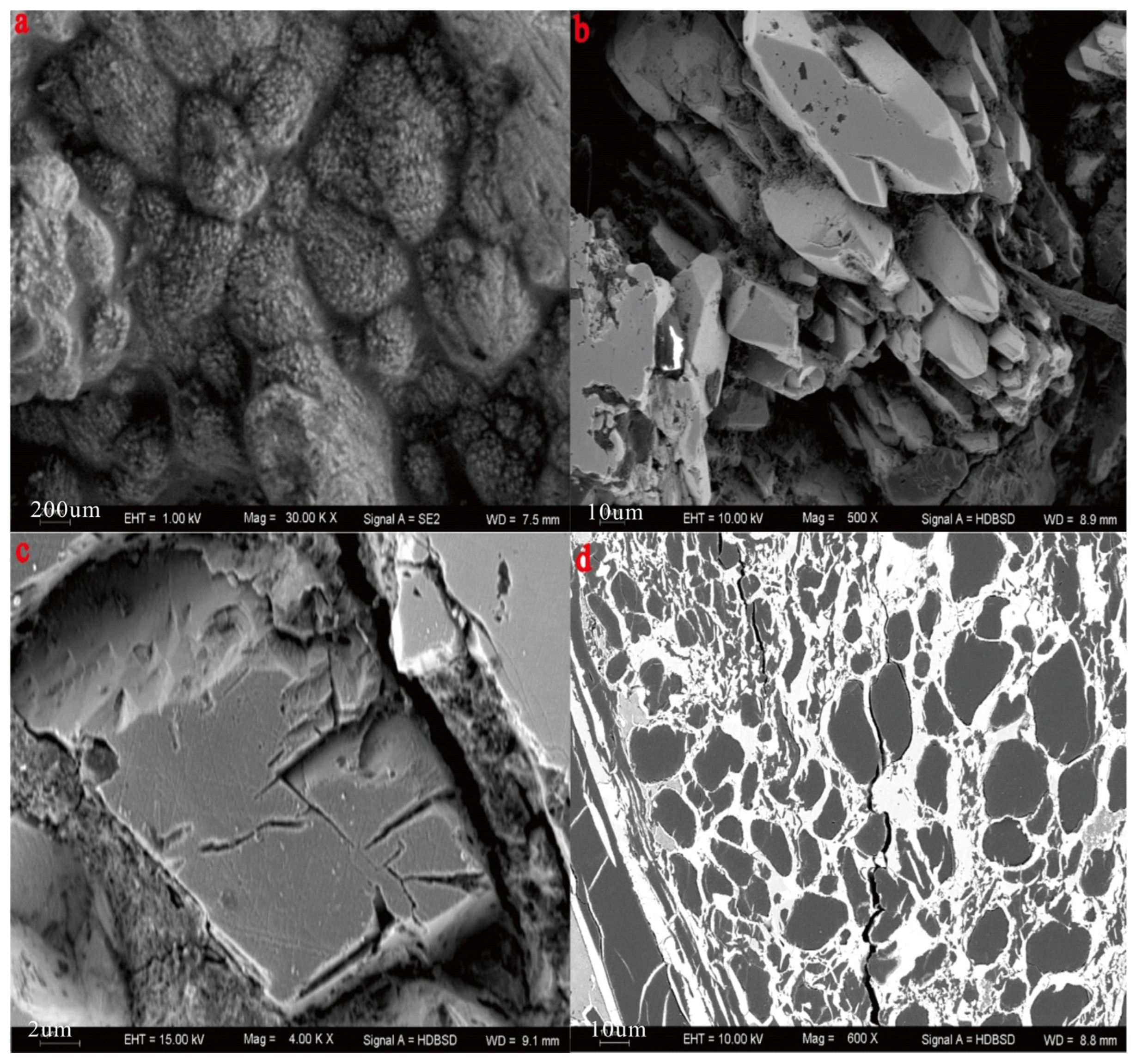 Minerals 15 00816 g016