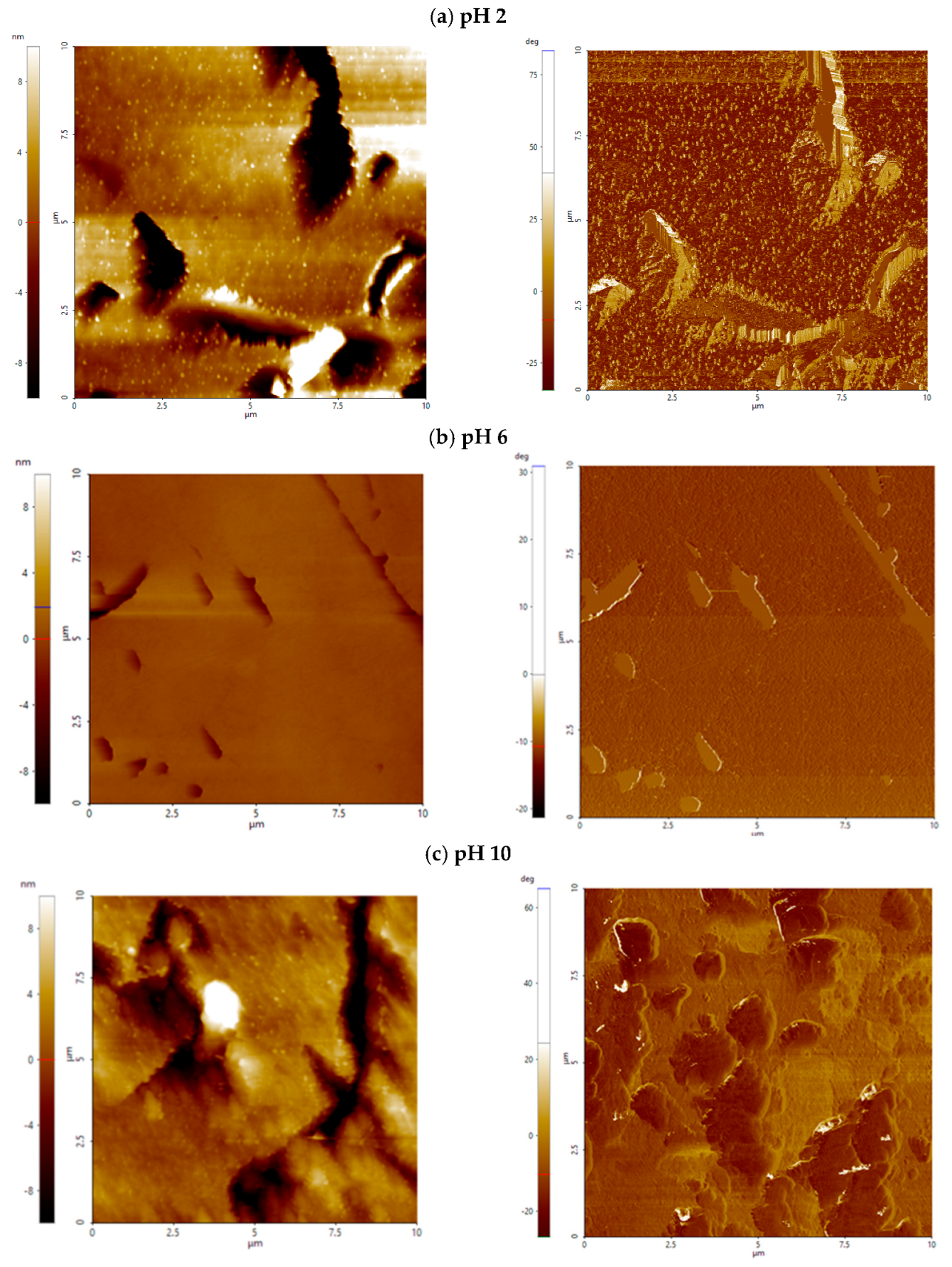 Minerals 15 00834 g0a3