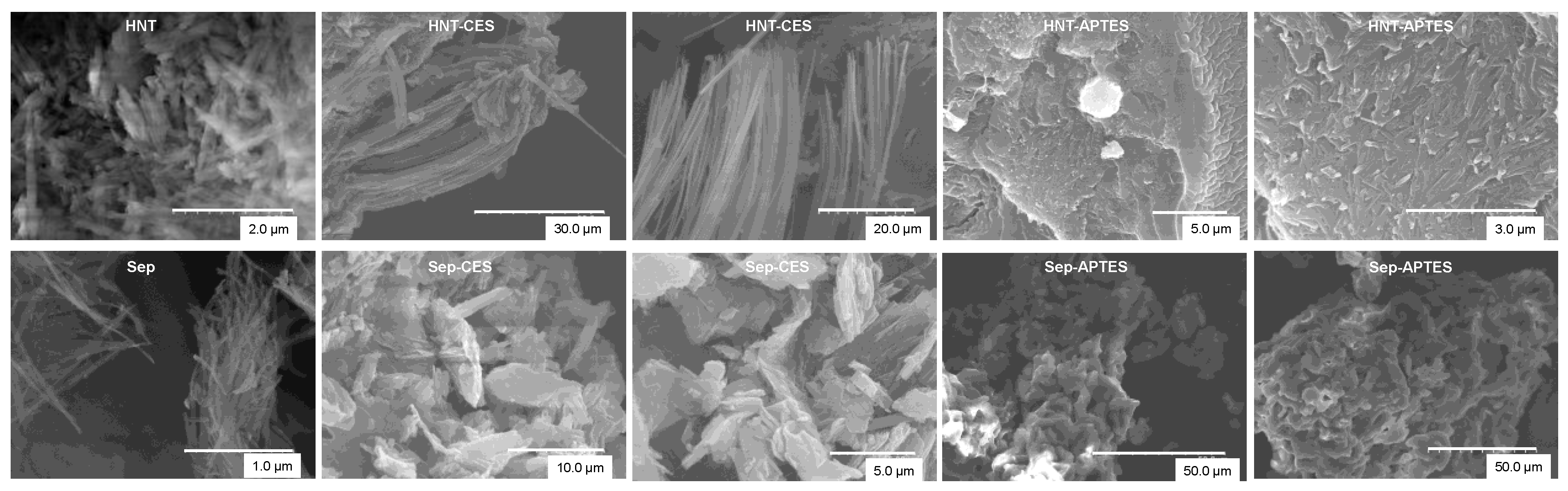 Minerals 15 00841 g006