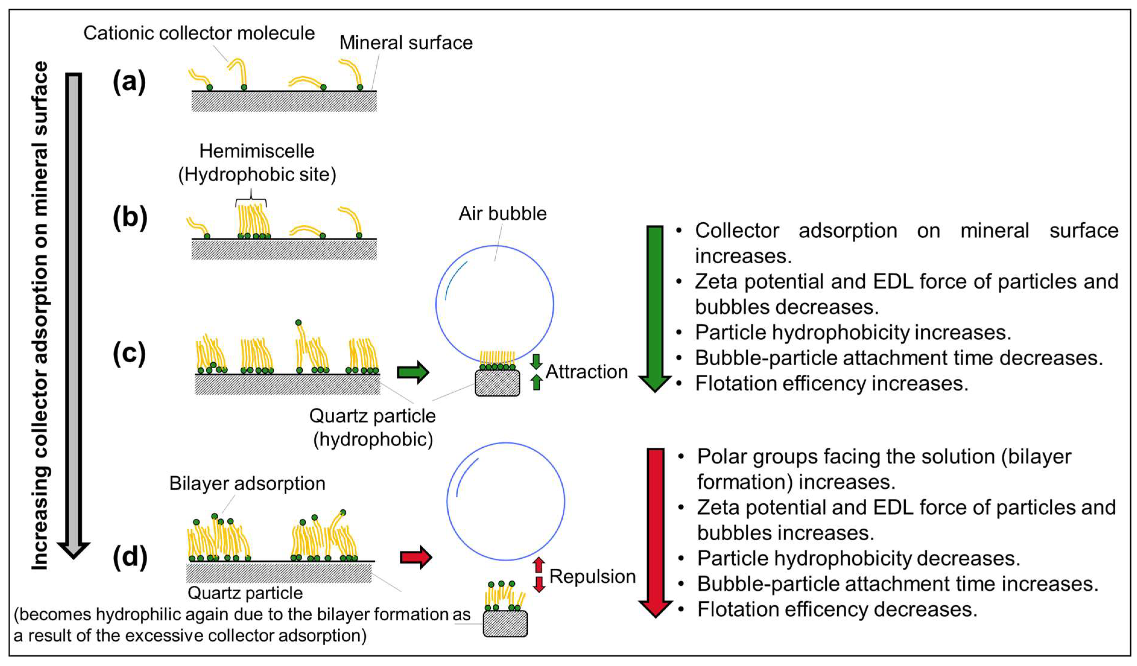 Minerals 15 00846 g008