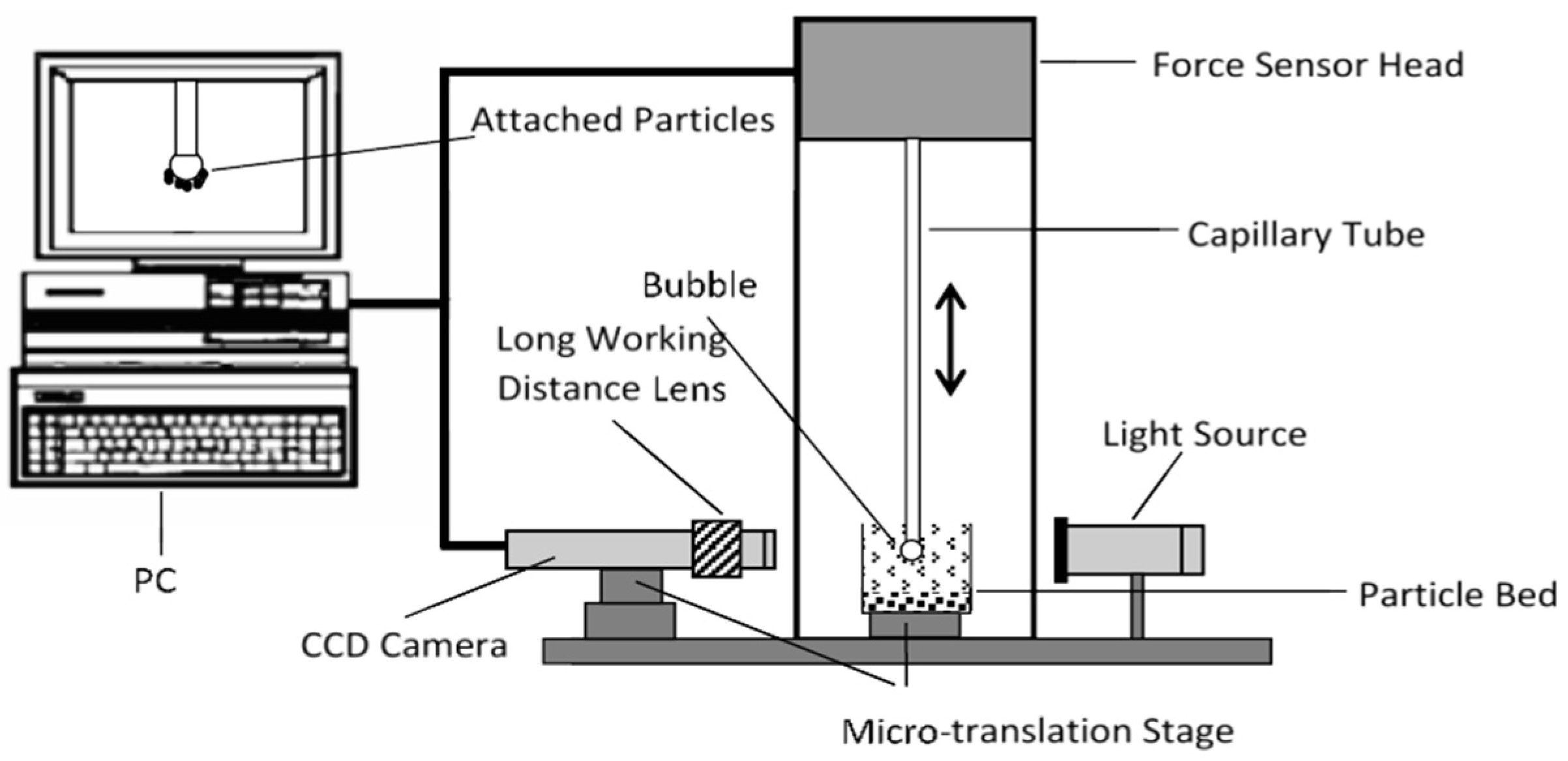 Minerals 15 00849 g001 Minerals 15 00849 g001
