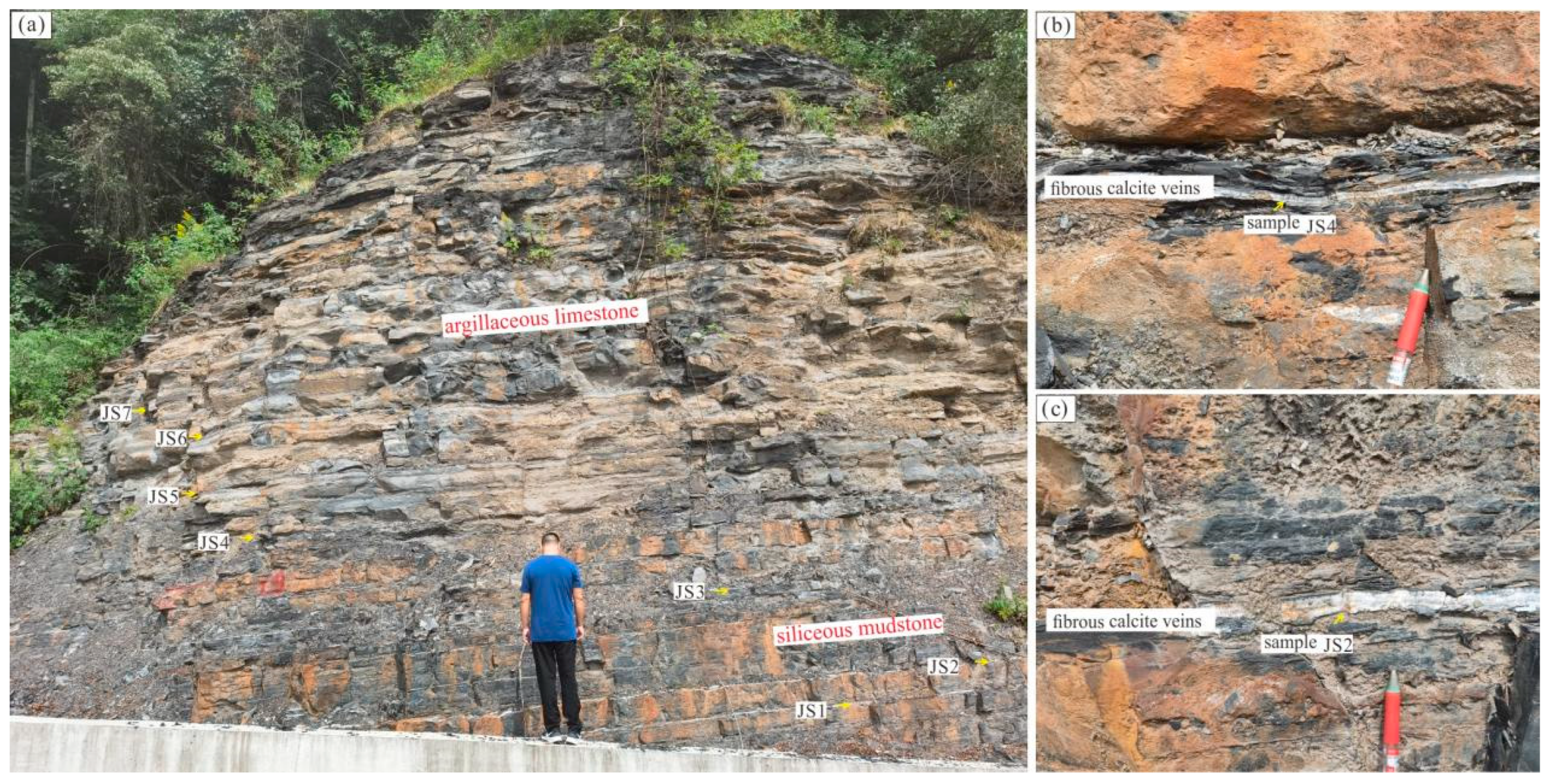 Minerals 15 00896 g002