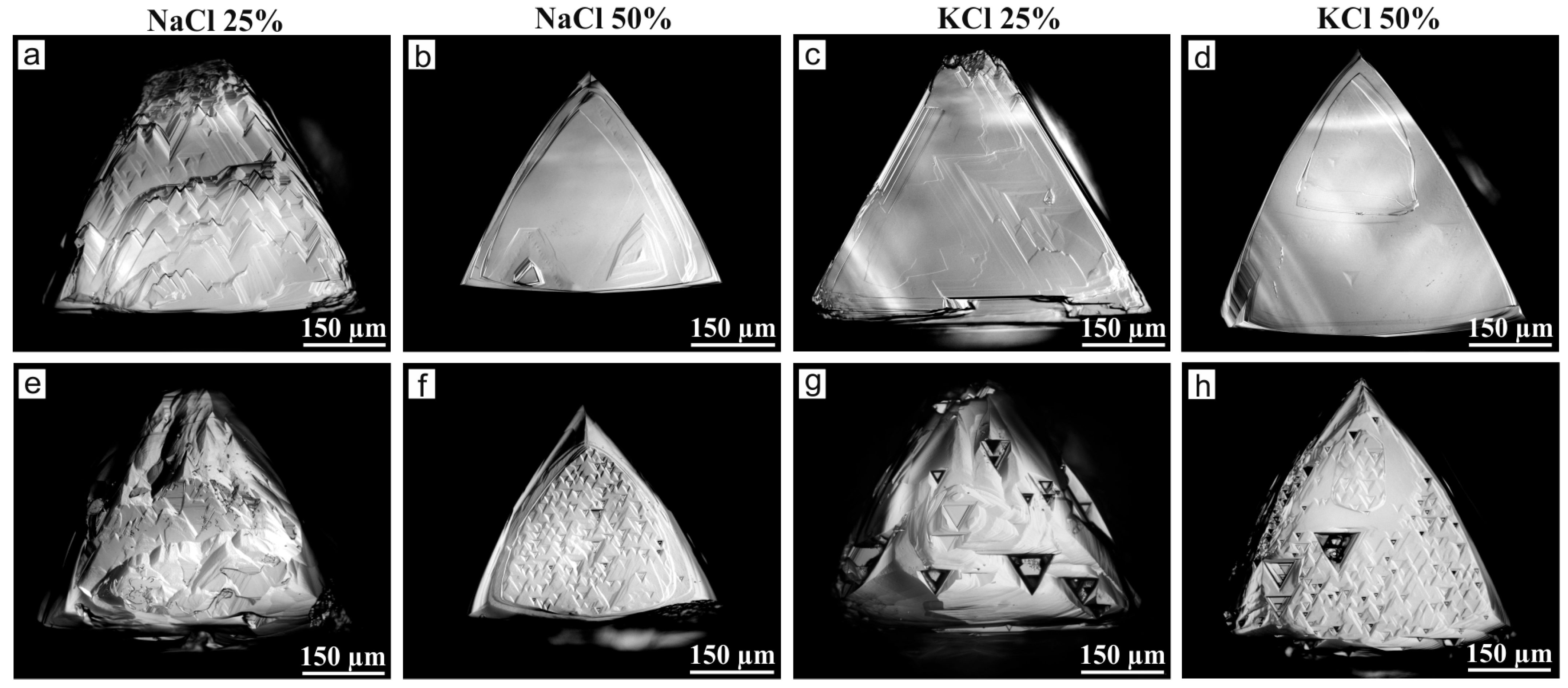 Minerals 15 00897 g007