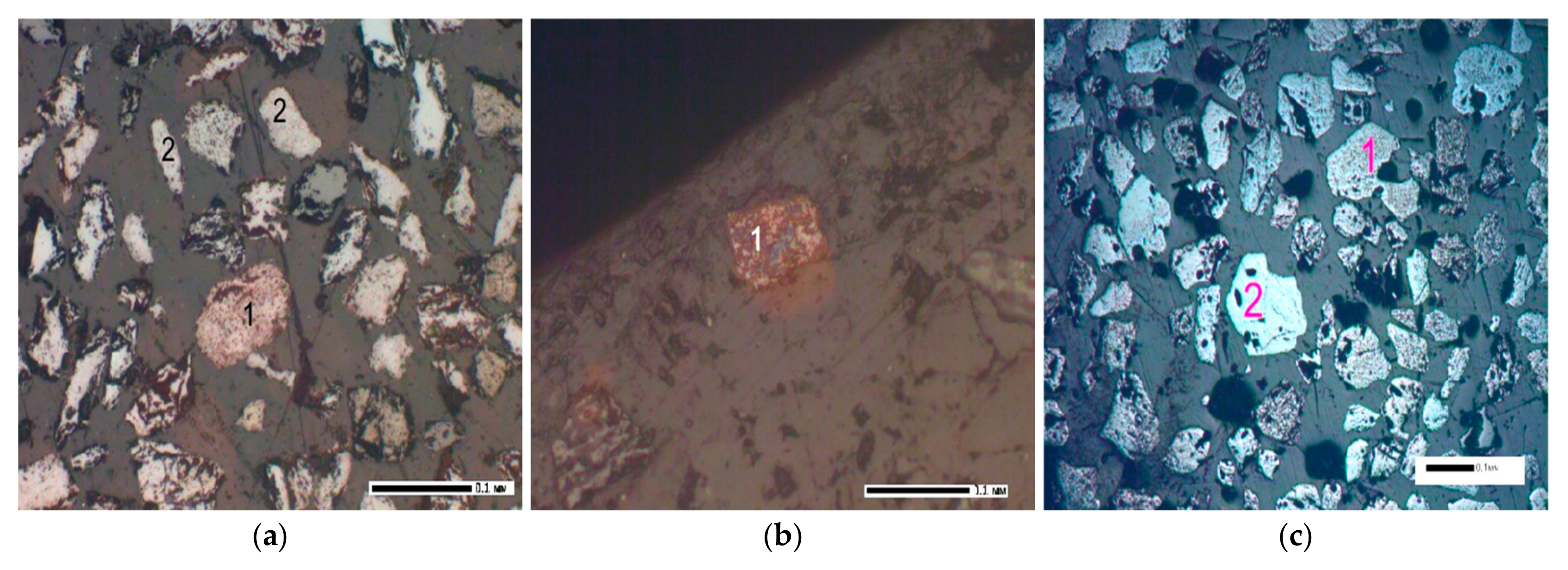 Minerals 15 00906 g005