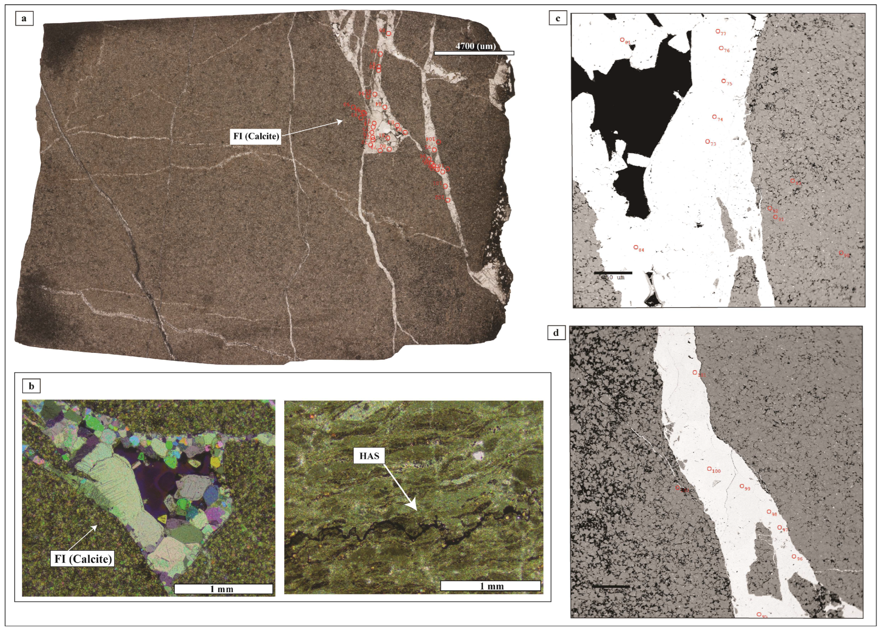 Minerals 15 00907 g004
