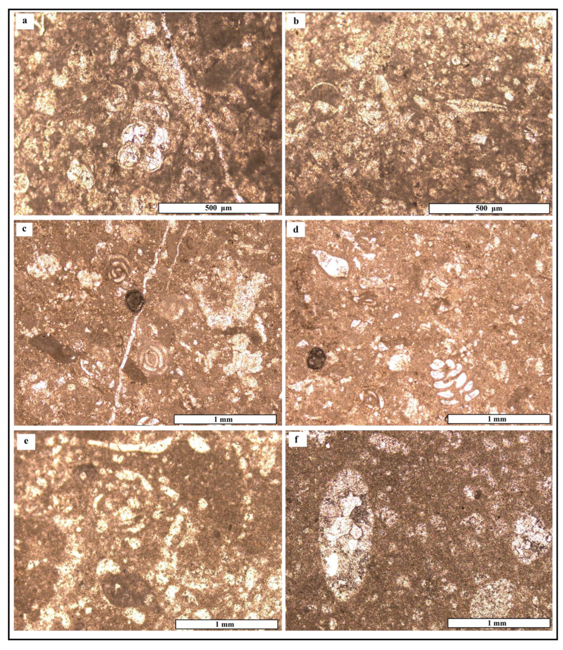 Minerals 15 00908 g003