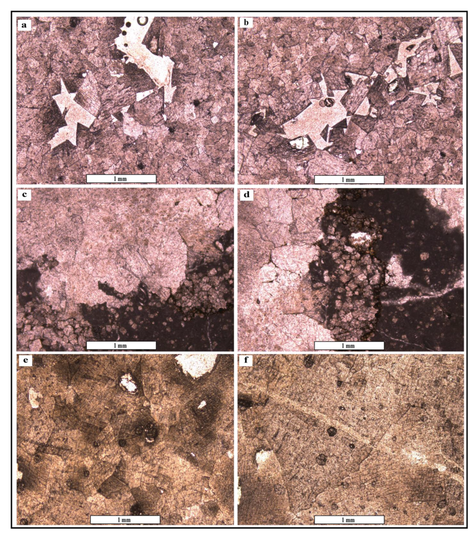 Minerals 15 00908 g005
