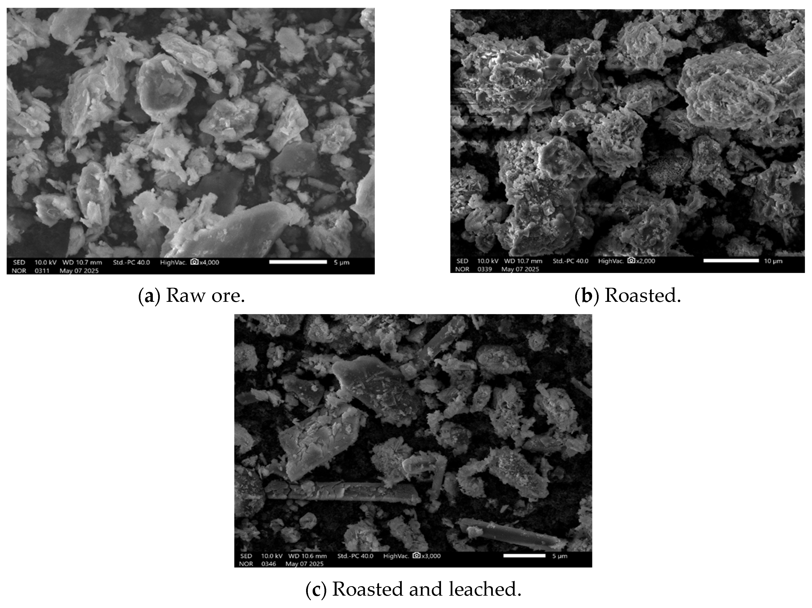 Minerals 15 00944 g010