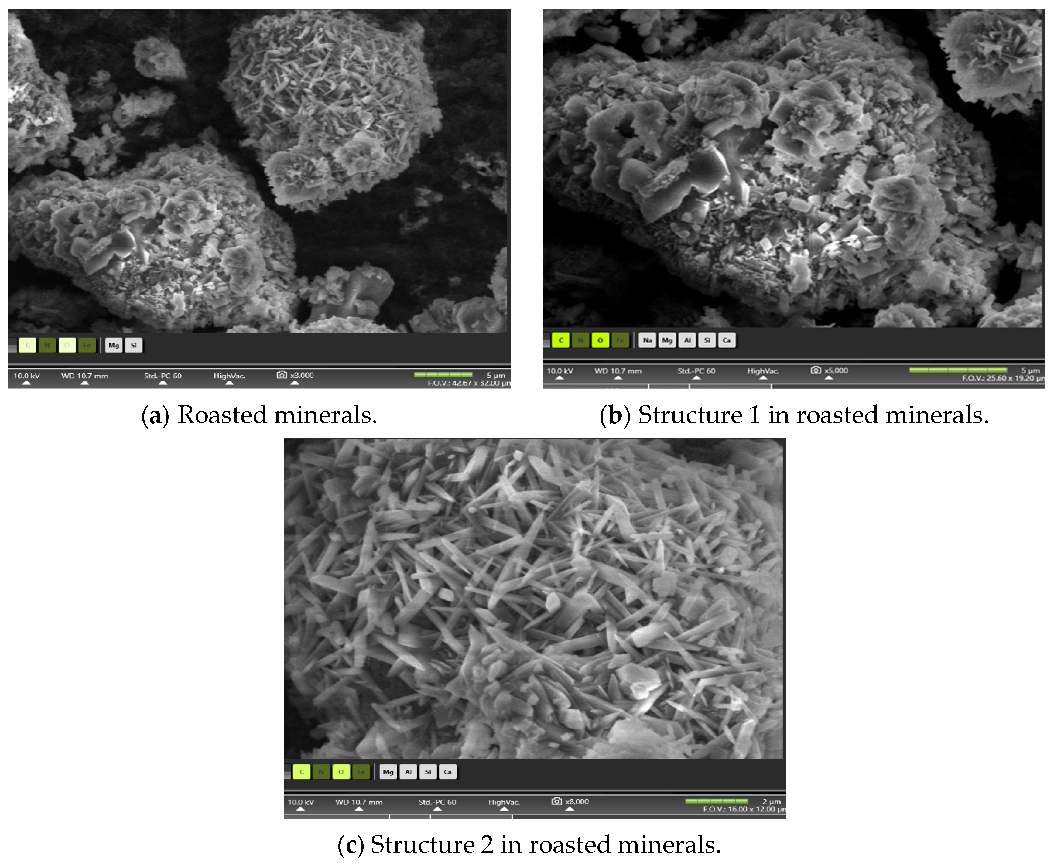 Minerals 15 00944 g011