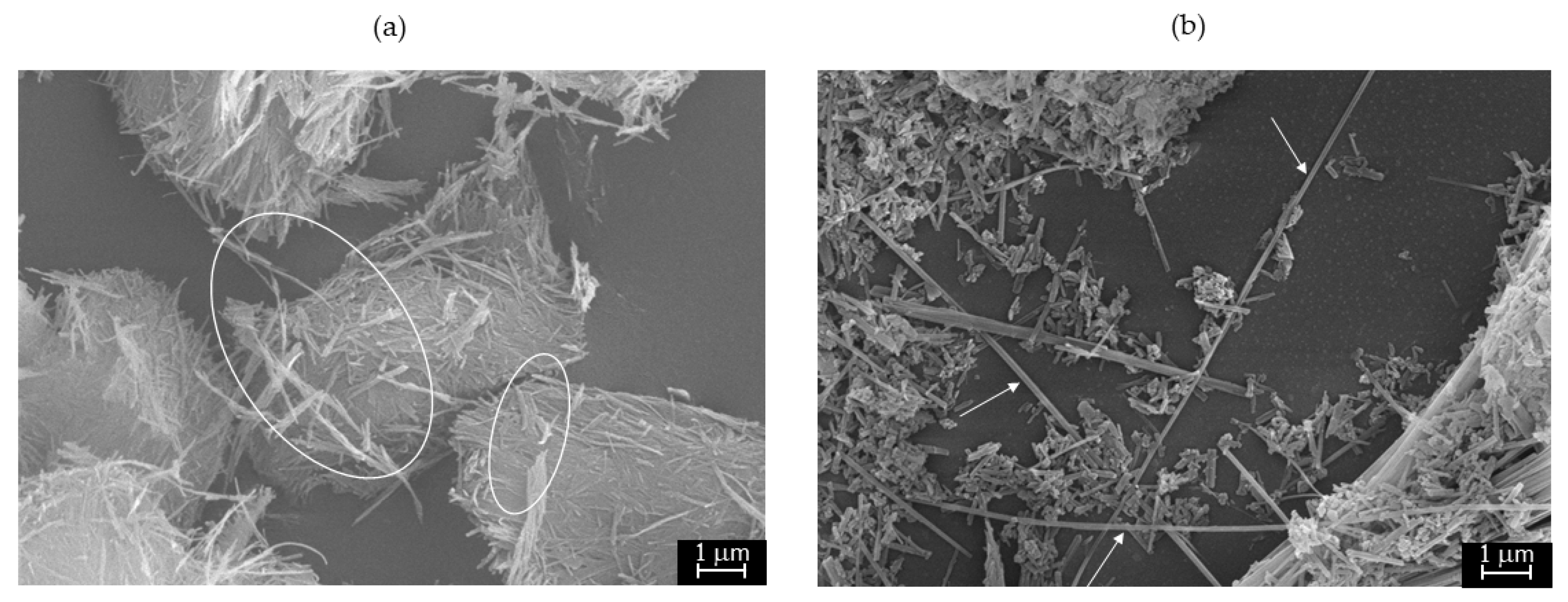 Minerals 15 00950 g006