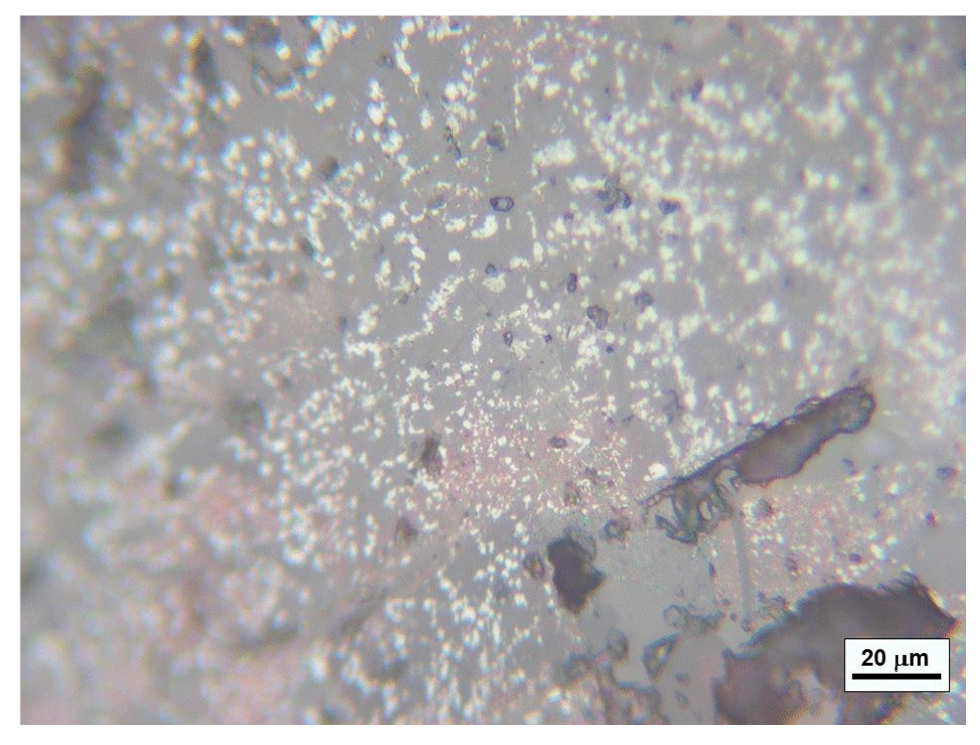 Minerals 15 00958 g001