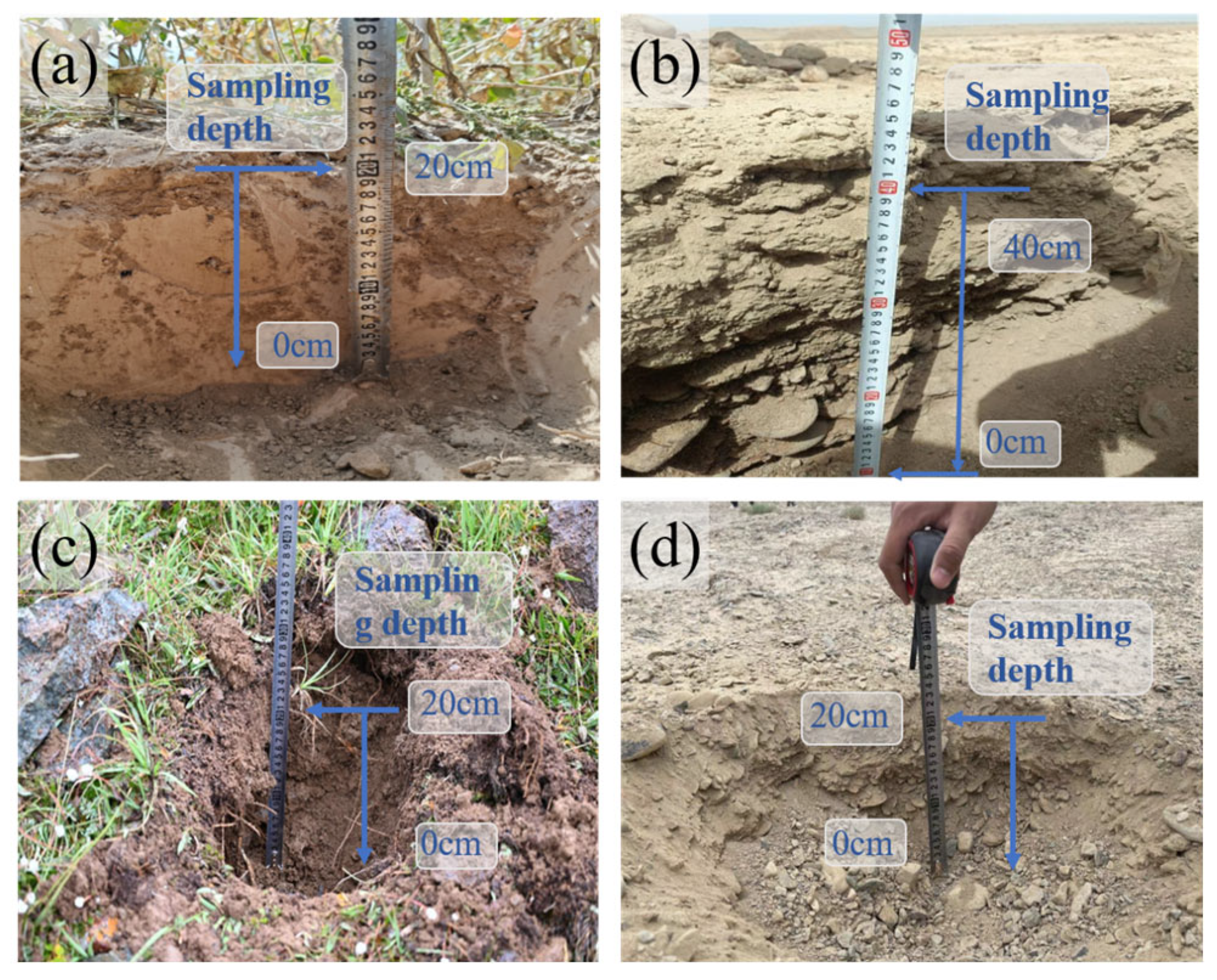Minerals 15 00986 g002 Minerals 15 00986 g002