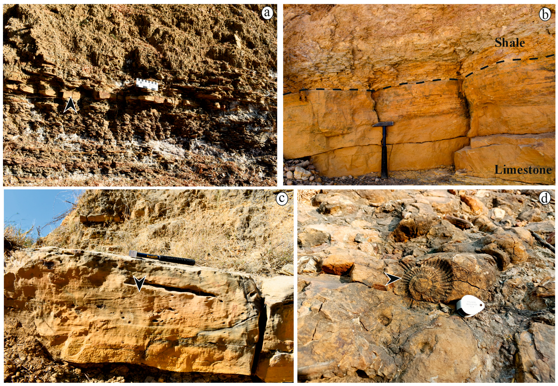 Minerals 15 00990 g003