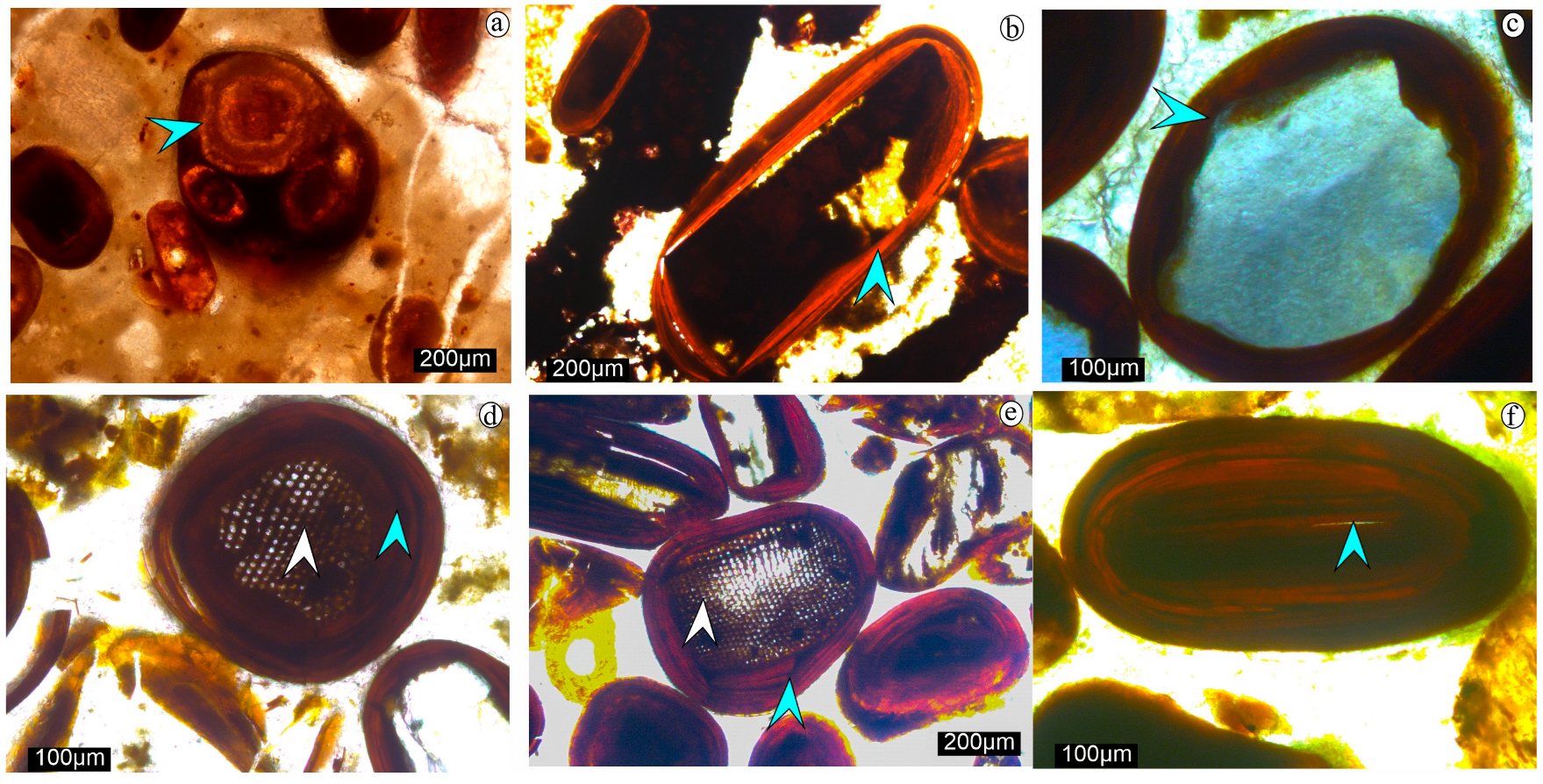 Minerals 15 00990 g004