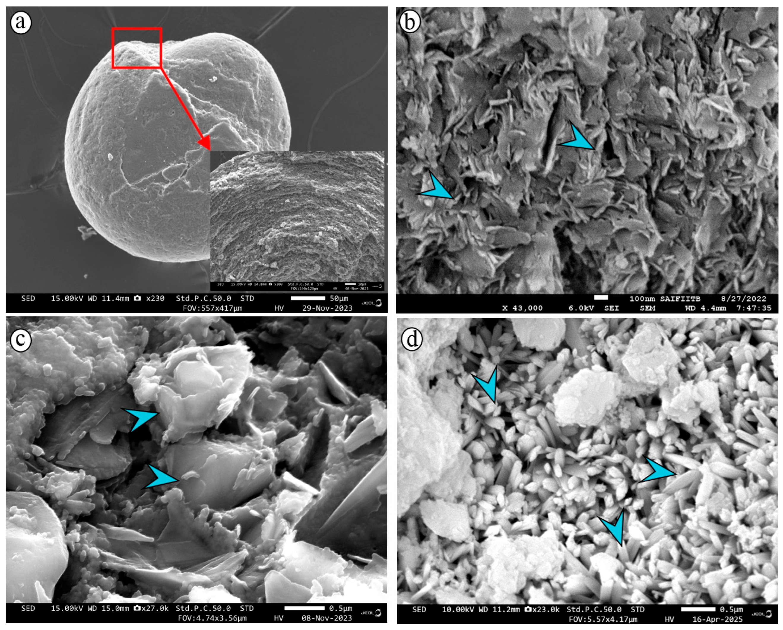 Minerals 15 00990 g006