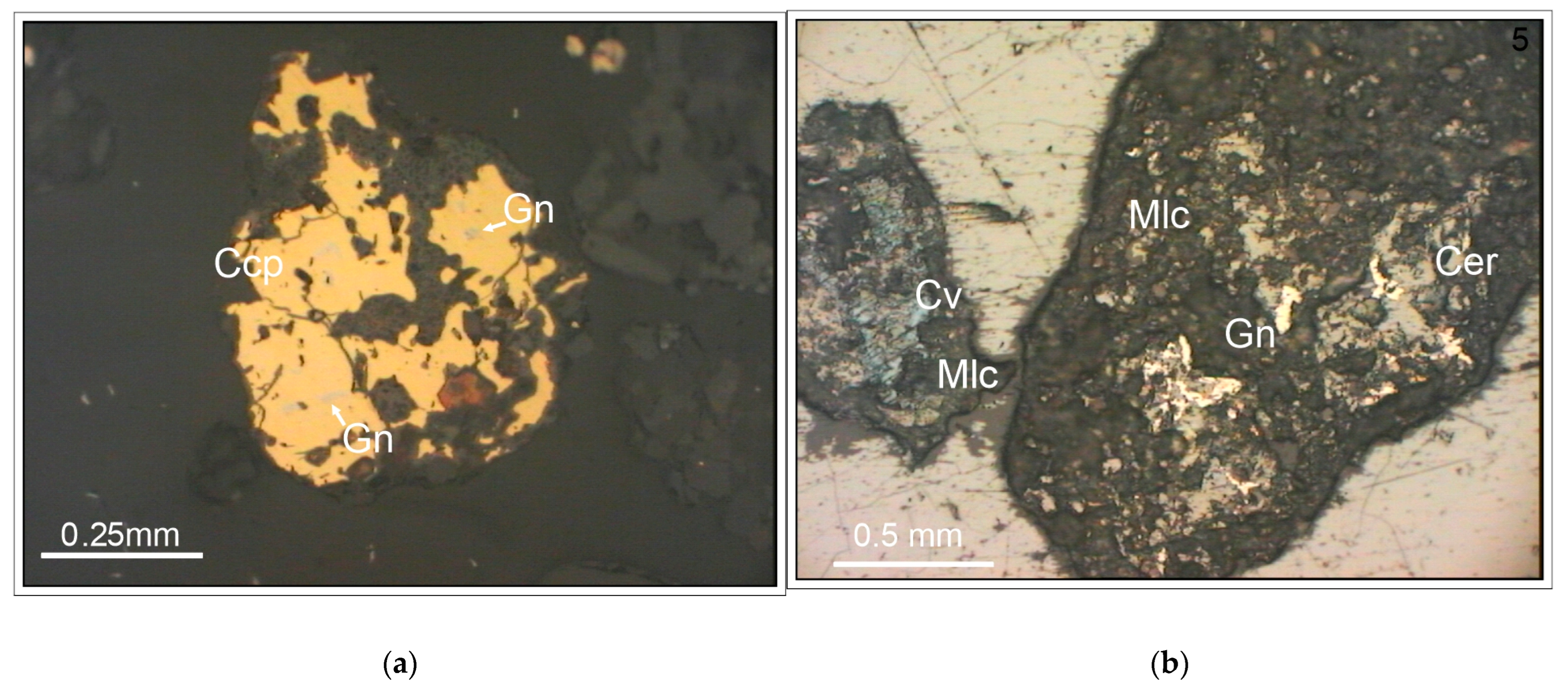 Minerals 15 00992 g005