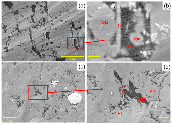 Comparative Analysis of CO2 Sequestration Potential in Shale