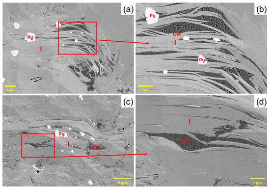 SLの写真 懐かしの蒸気機関車写真館