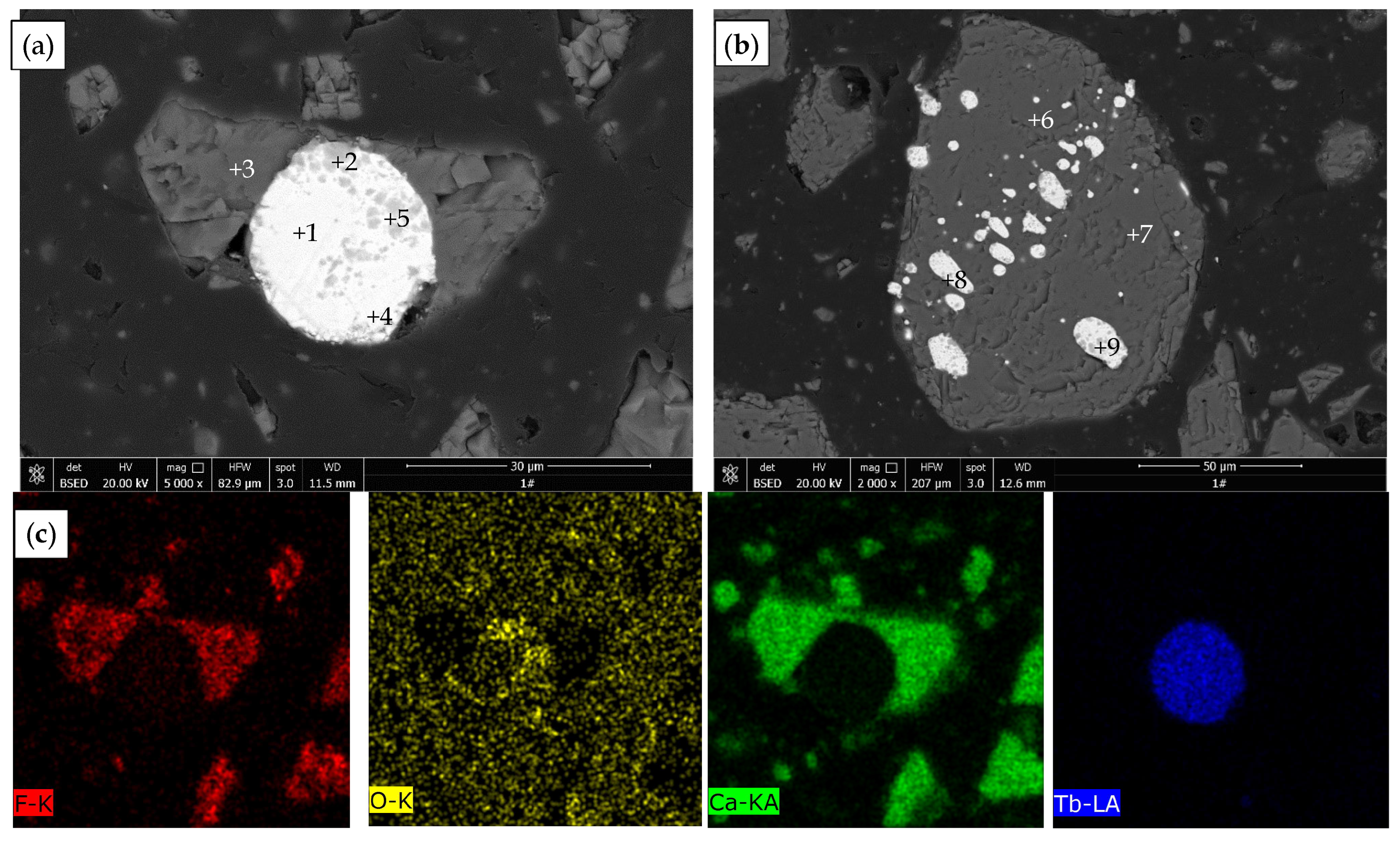 Minerals 15 01025 g002