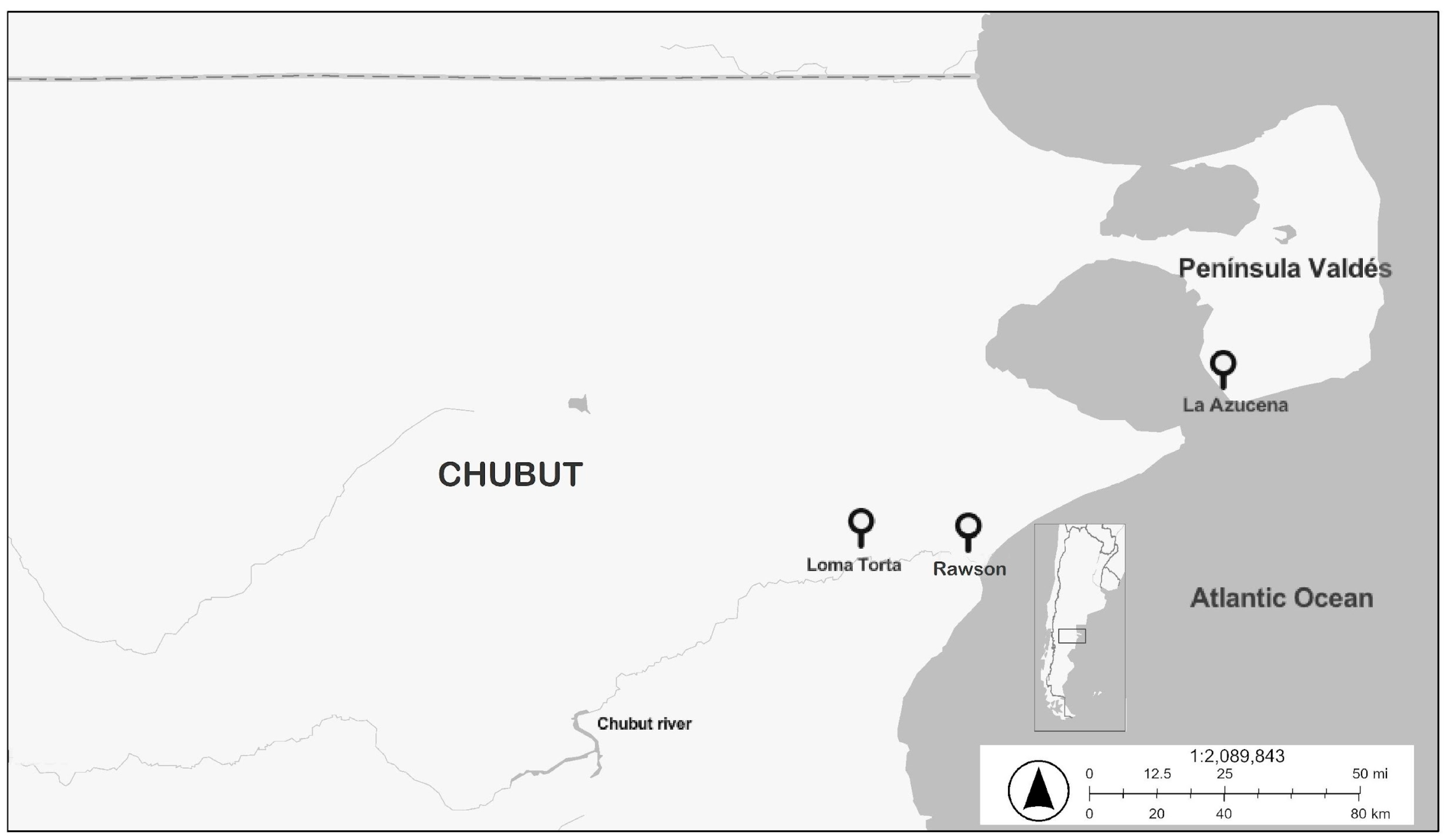 Minerals 15 01055 g001