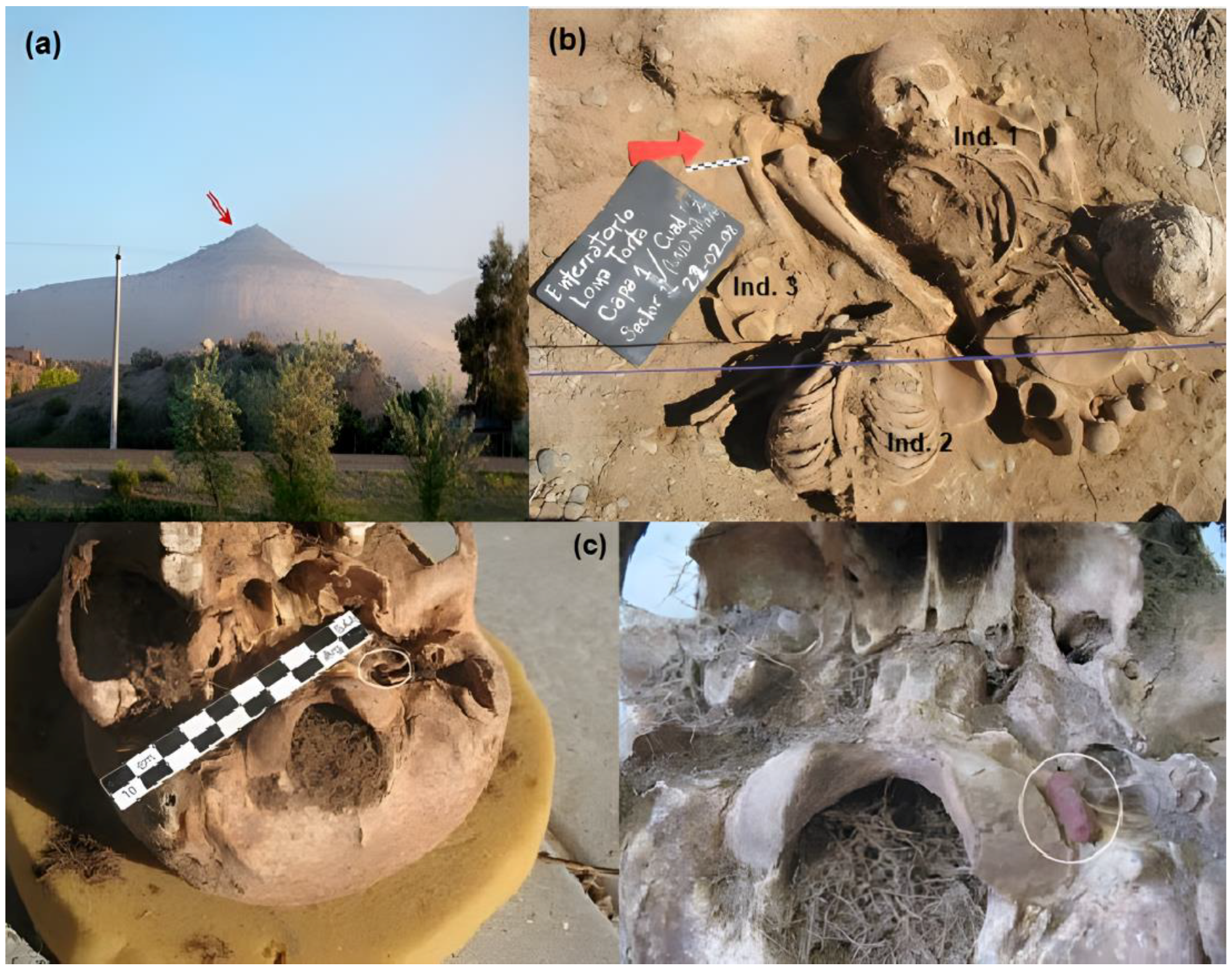 Minerals 15 01055 g003