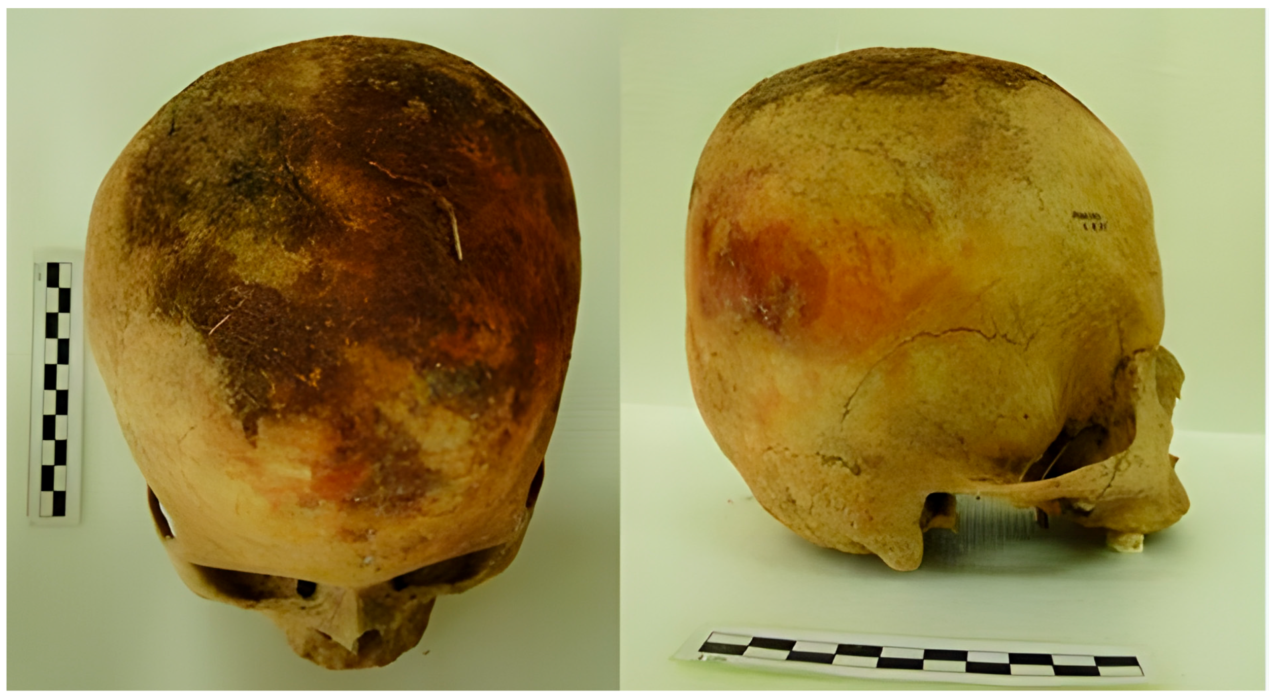 Minerals 15 01055 g004