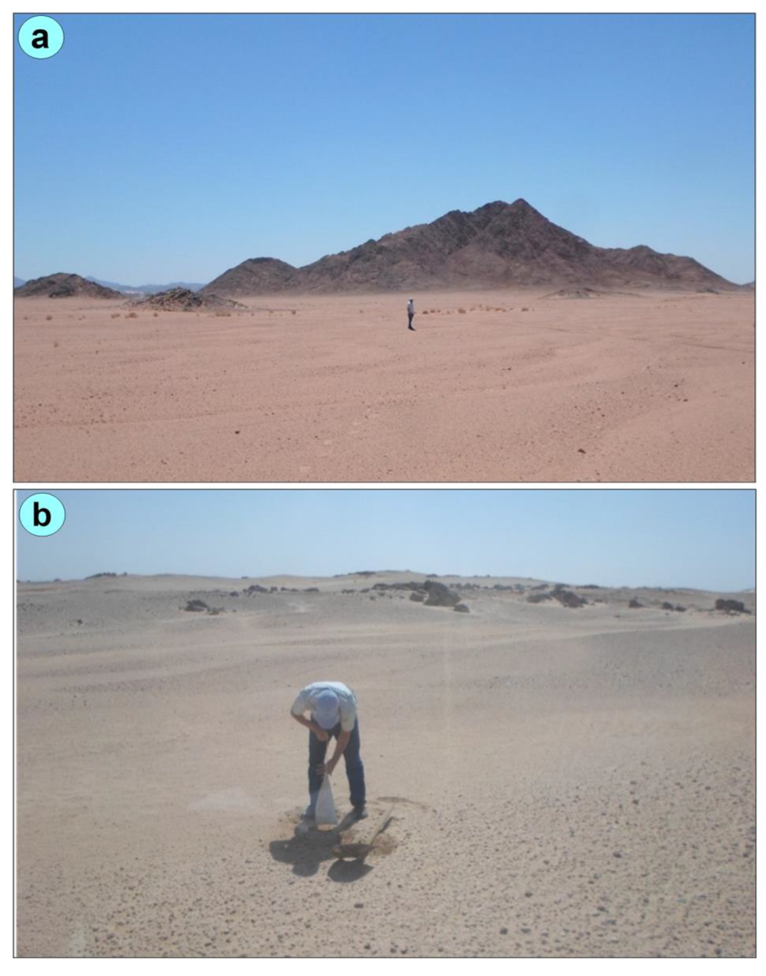 Minerals 15 01058 g002 Minerals 15 01058 g002