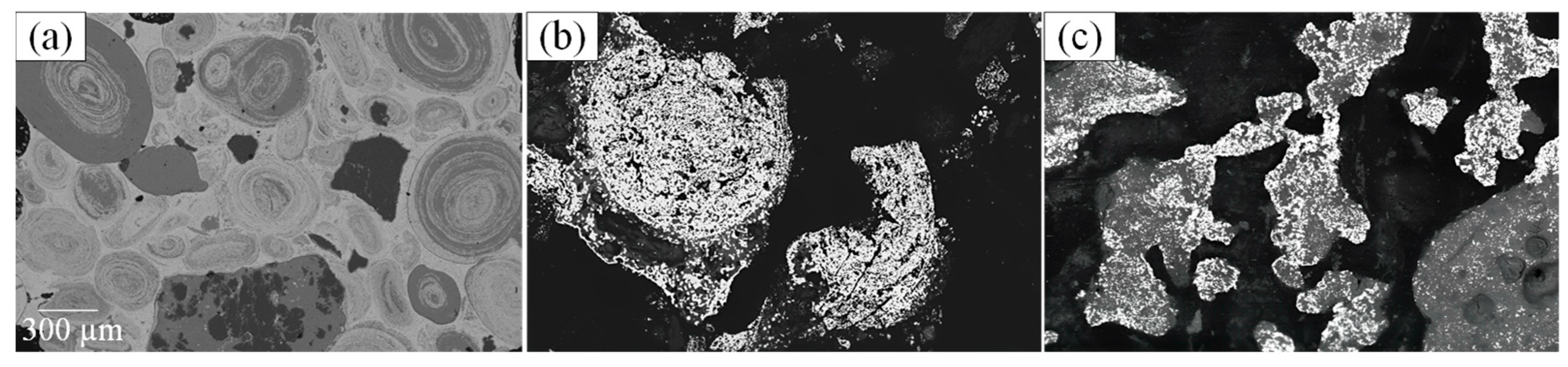 Minerals 15 01067 g004