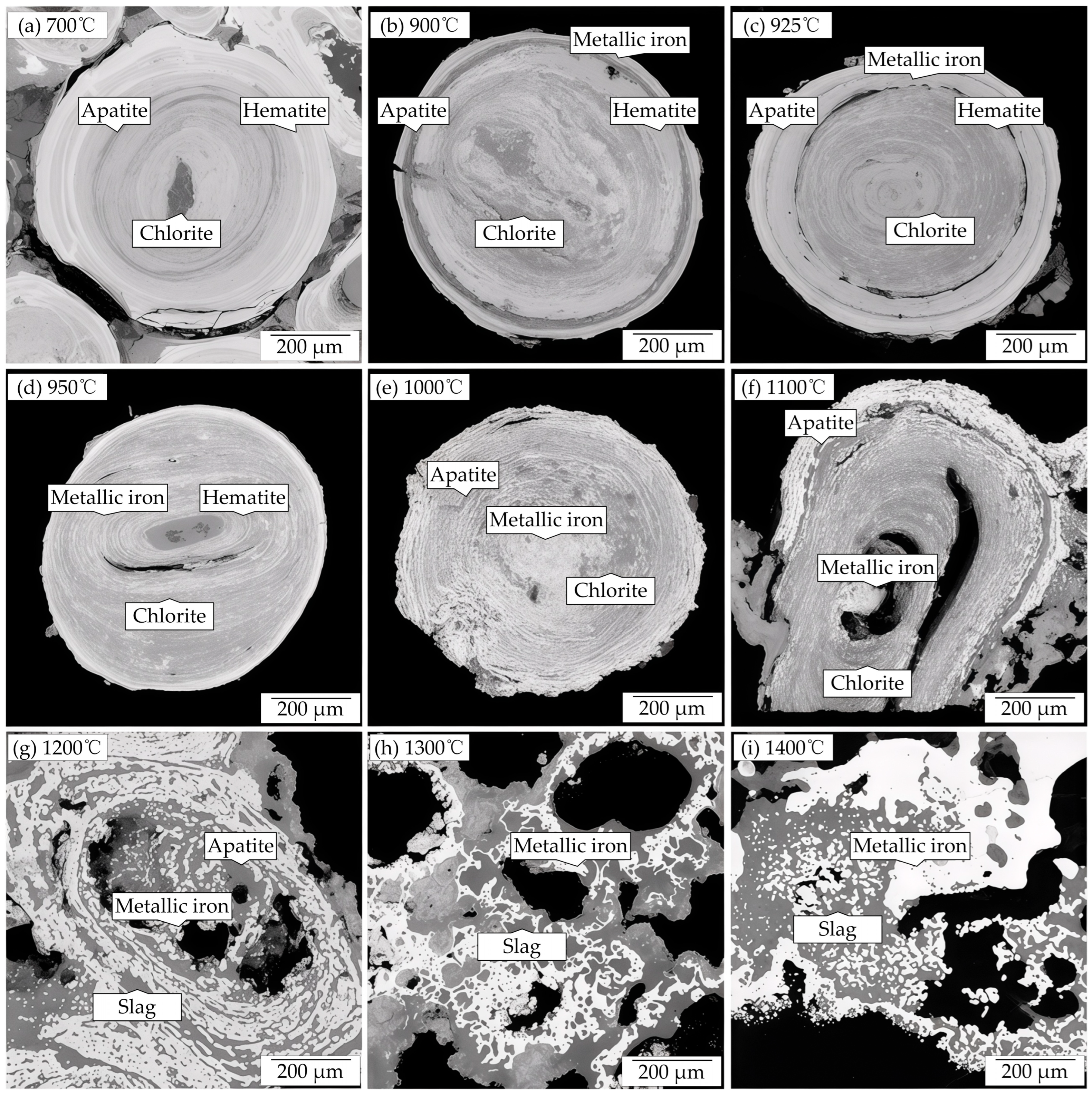 Minerals 15 01067 g009