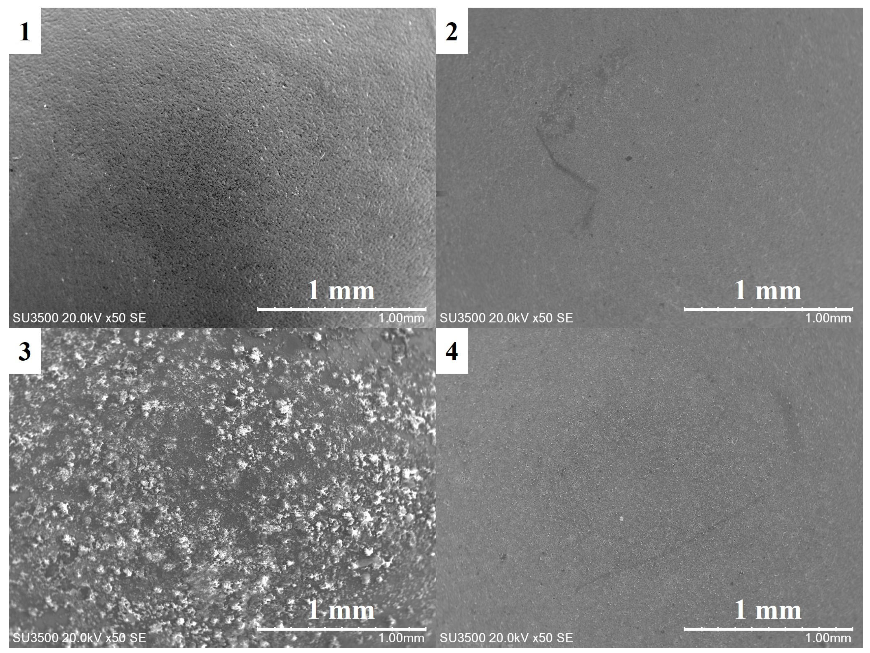 Minerals 15 01072 g004