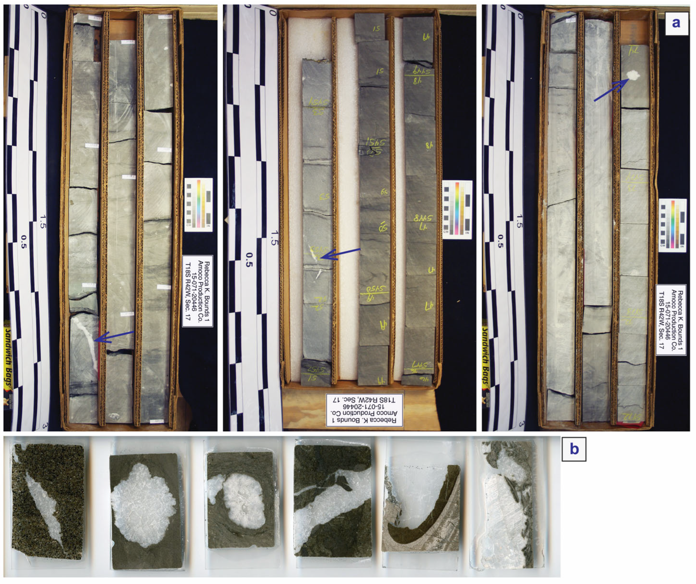 Minerals 15 01076 g004 Minerals 15 01076 g004