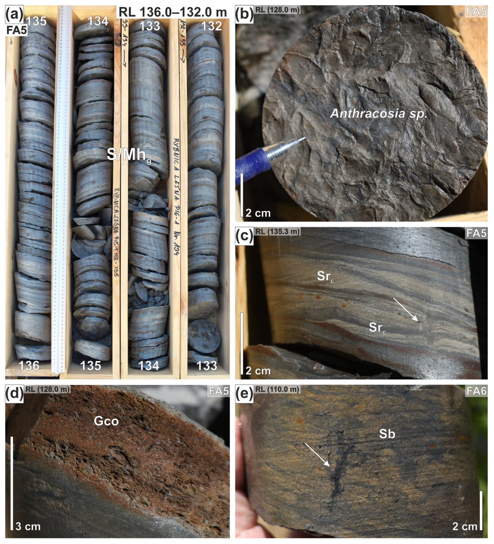 Minerals 15 01077 g009 Minerals 15 01077 g009