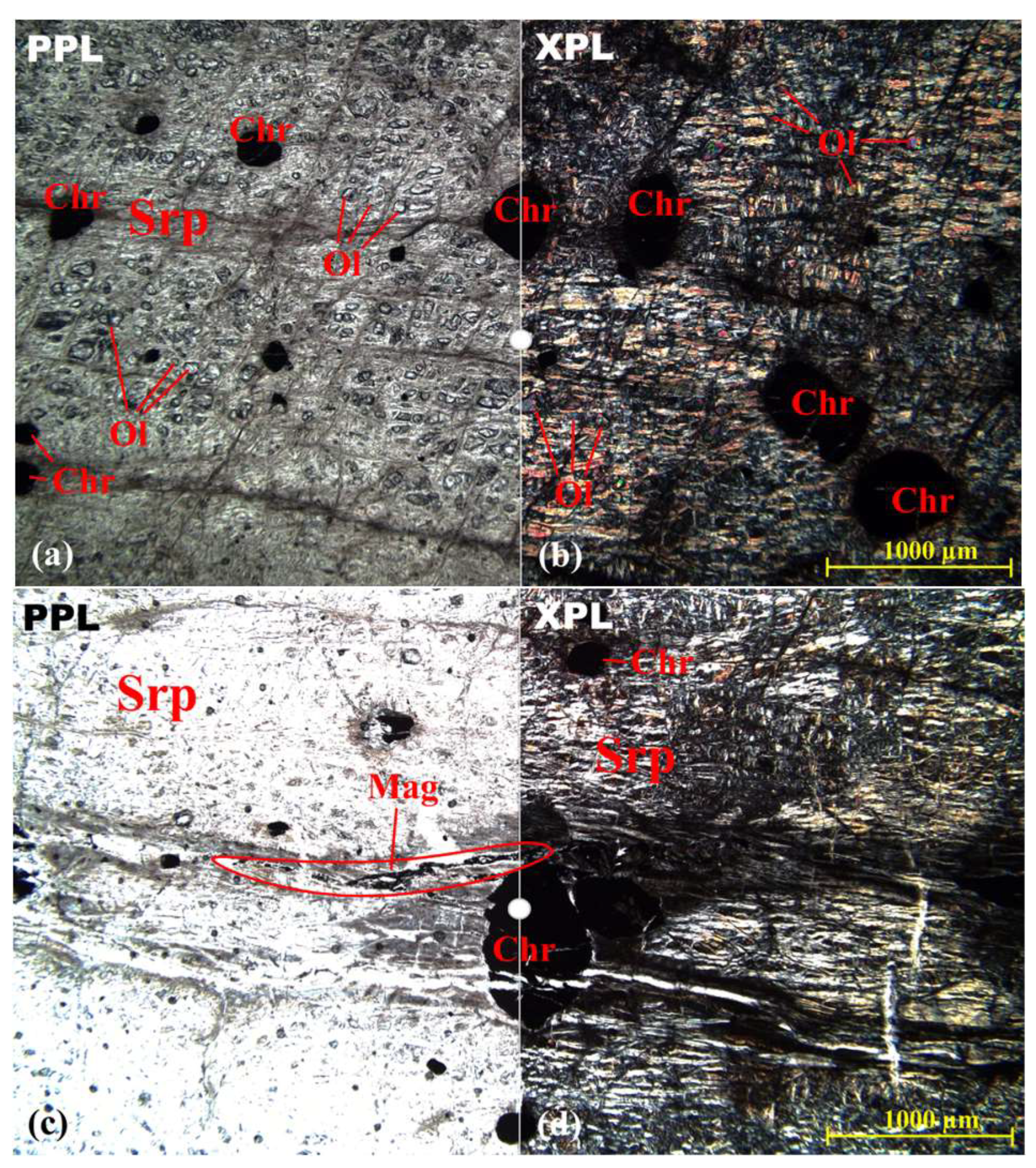 Minerals 15 01100 g003