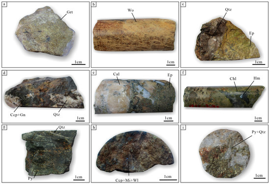 Genesis of the Baijianshan Skarn-Type Zn-Cu Polymetallic Deposit