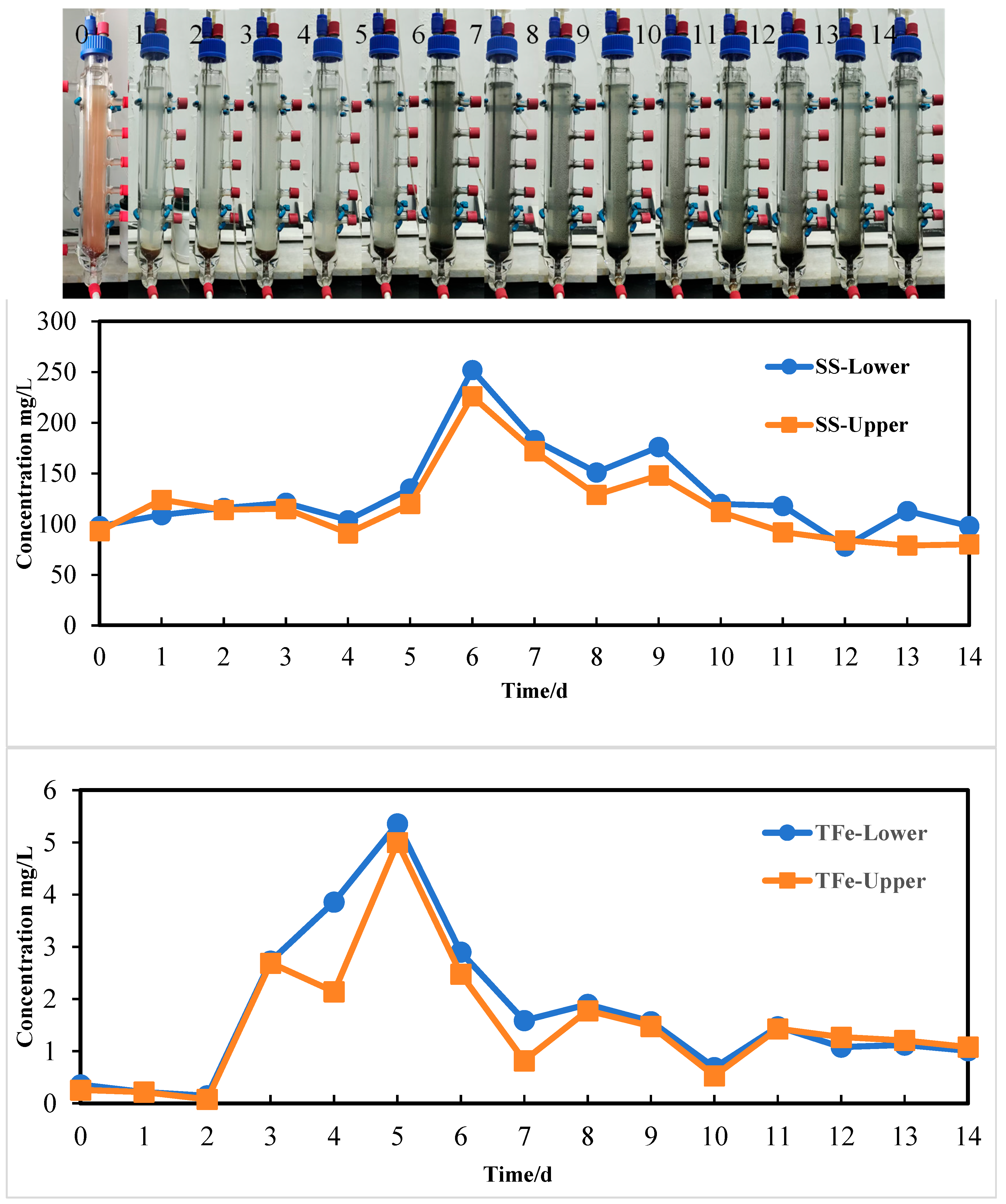 Minerals 15 01115 g007 Minerals 15 01115 g007