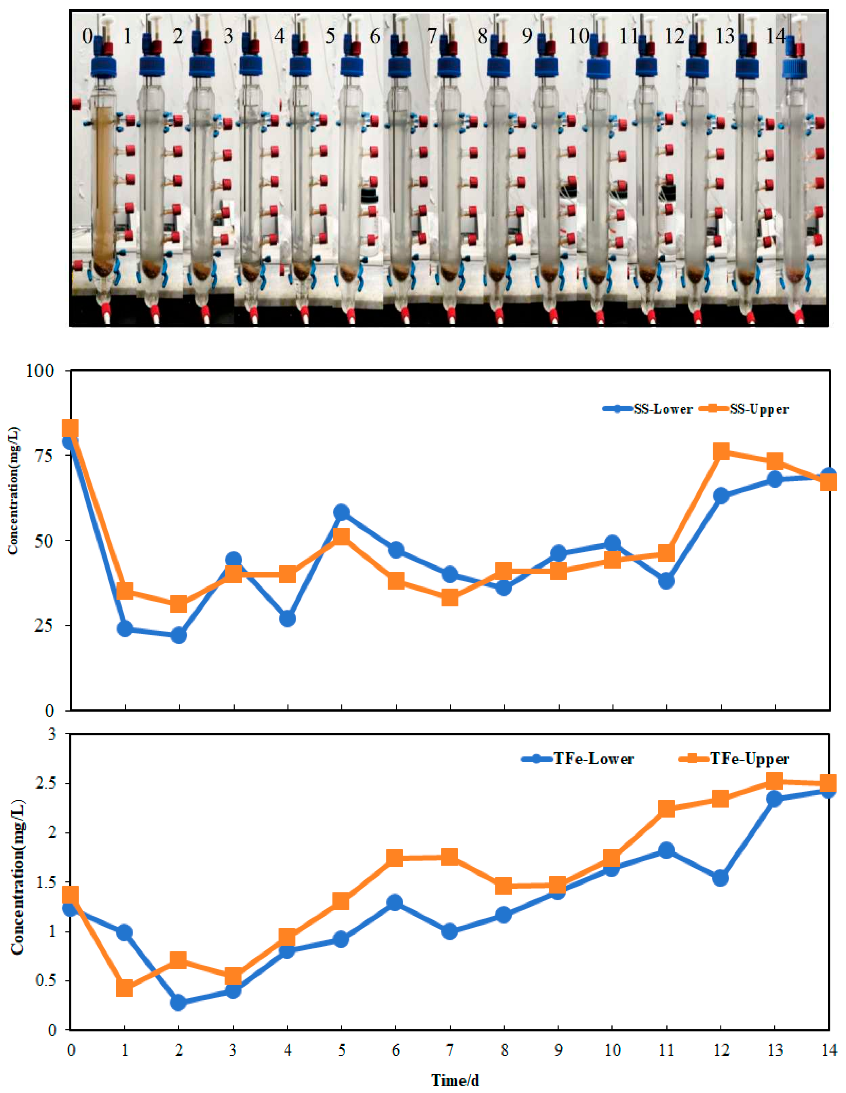 Minerals 15 01115 g009 Minerals 15 01115 g009